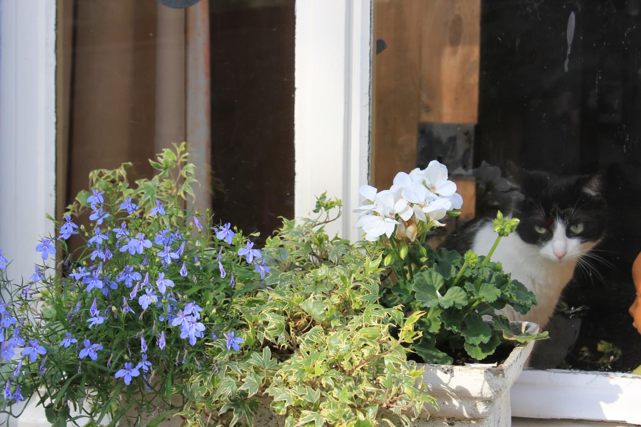 La Passiflore B&B photo 7