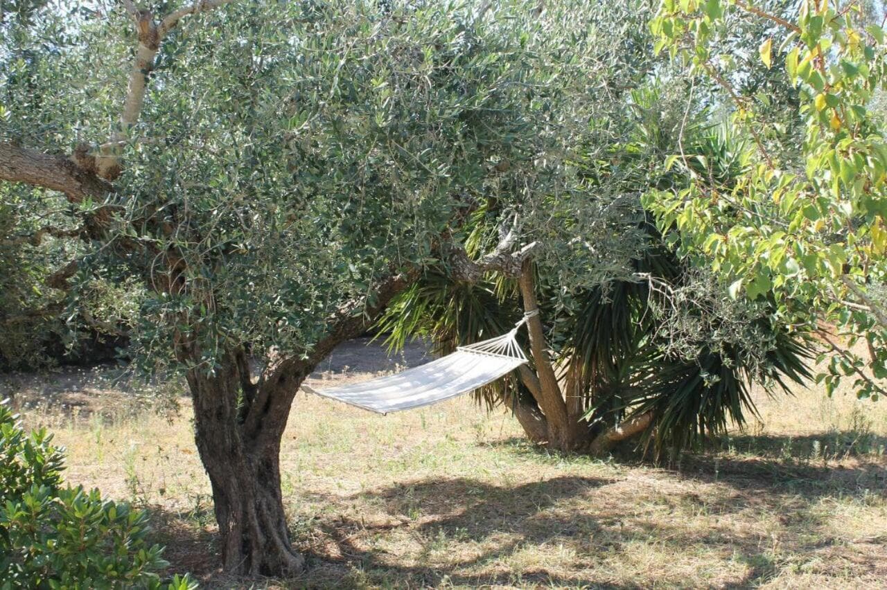 Villa Olivia photo 9