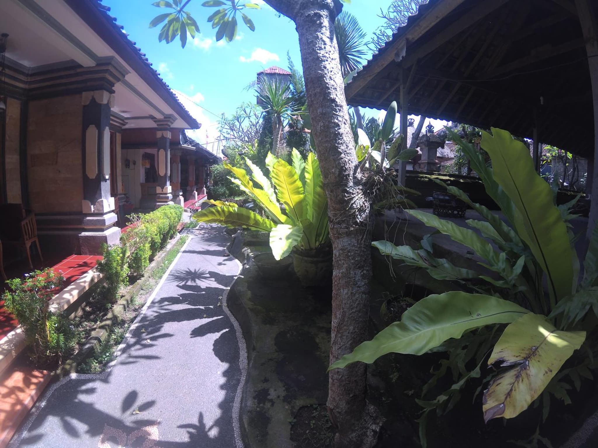 Rumah Ary Homestay & Spa photo 6