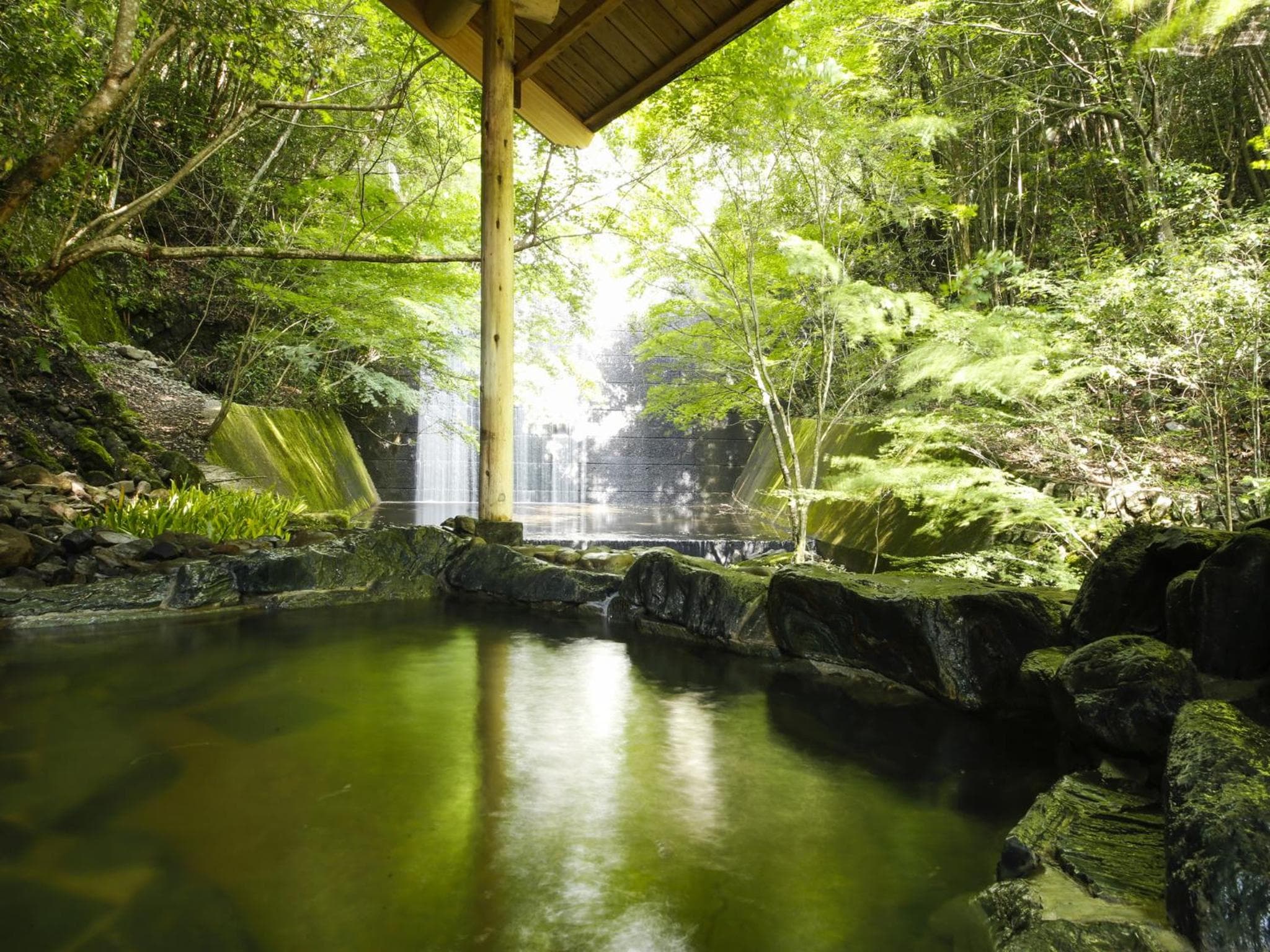 Asan Kotonami photo 2