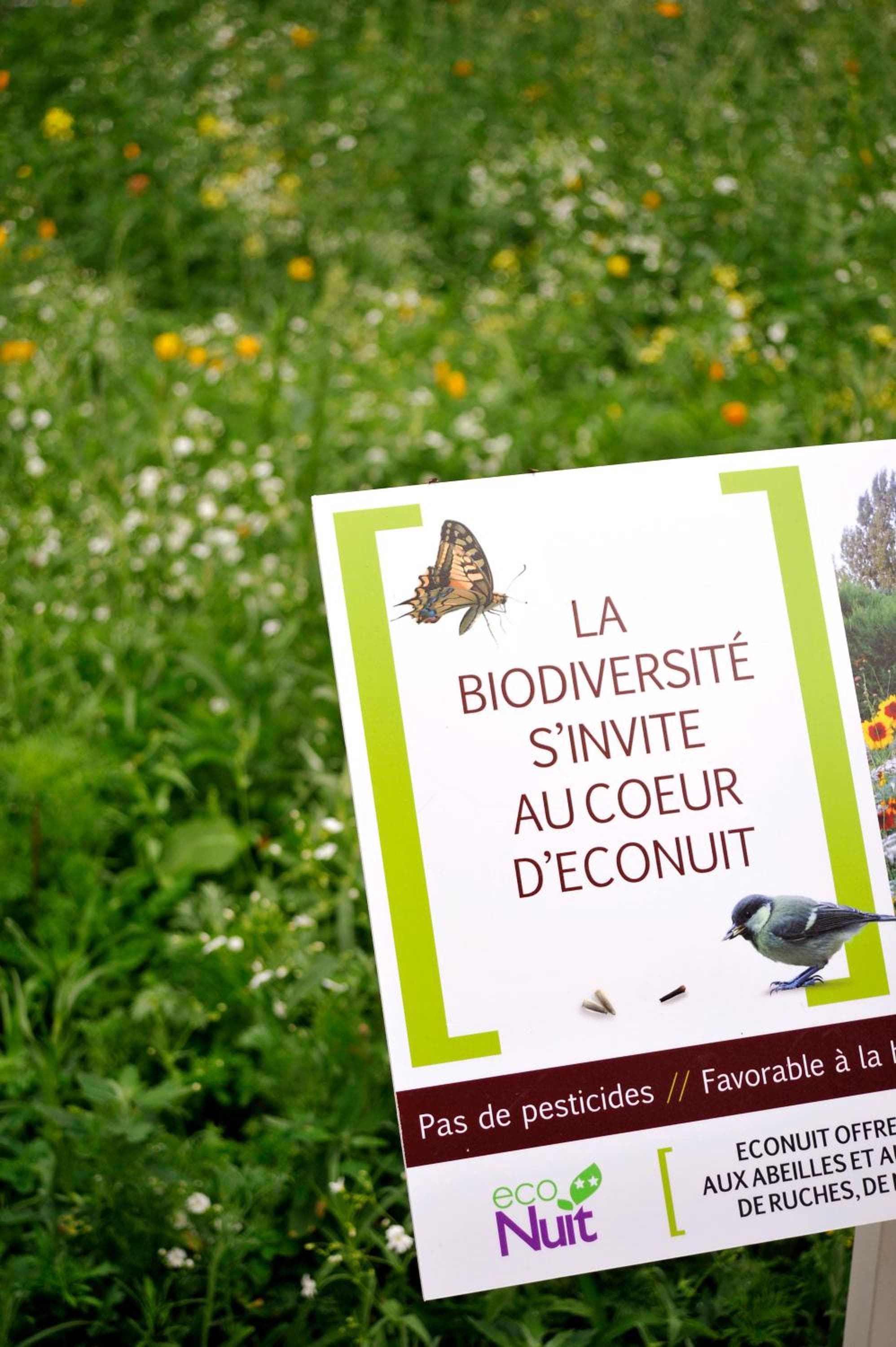 Sure Hotel By Best Western Guerande photo 2