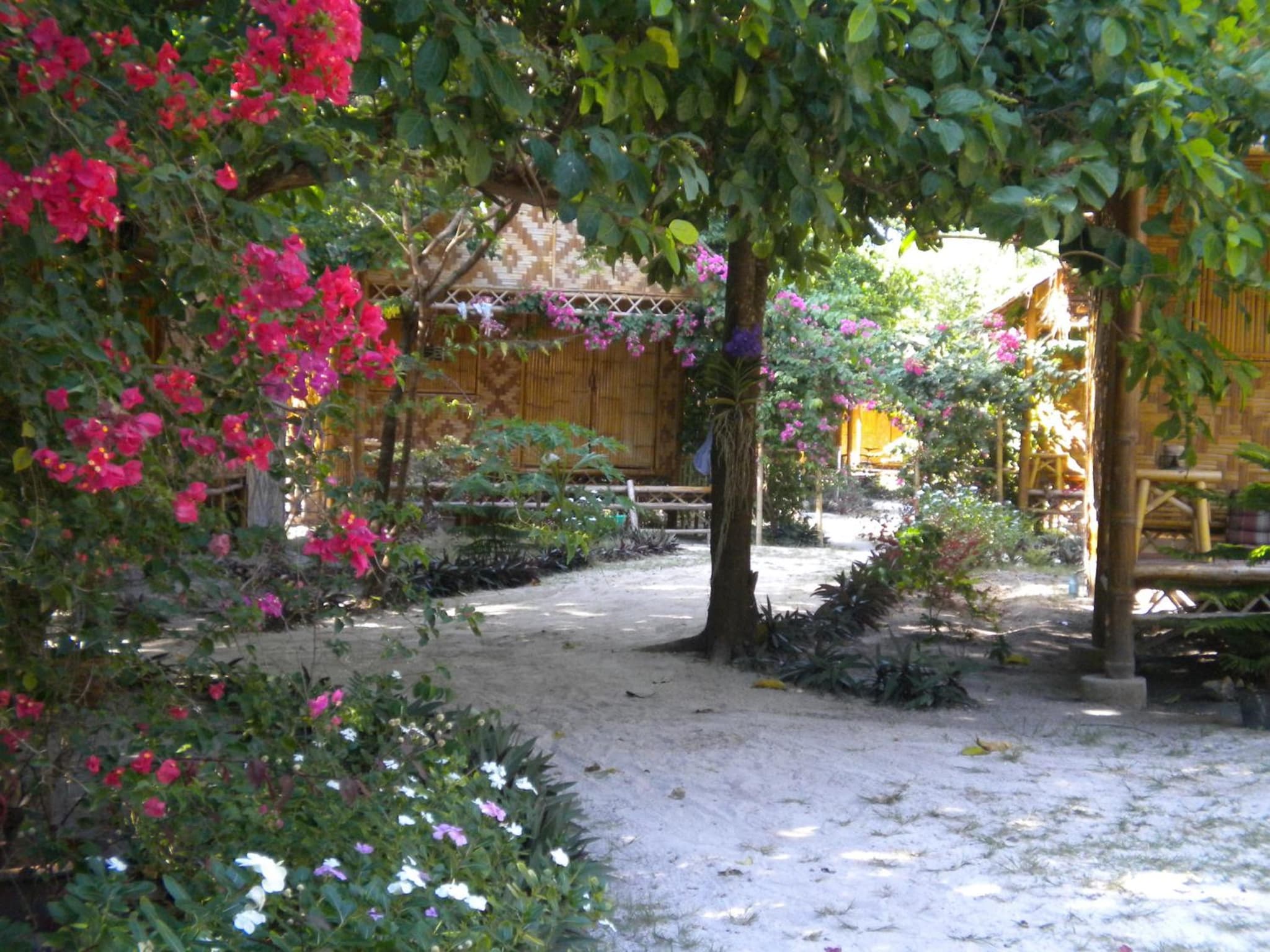 Green View Beach Resort photo 4