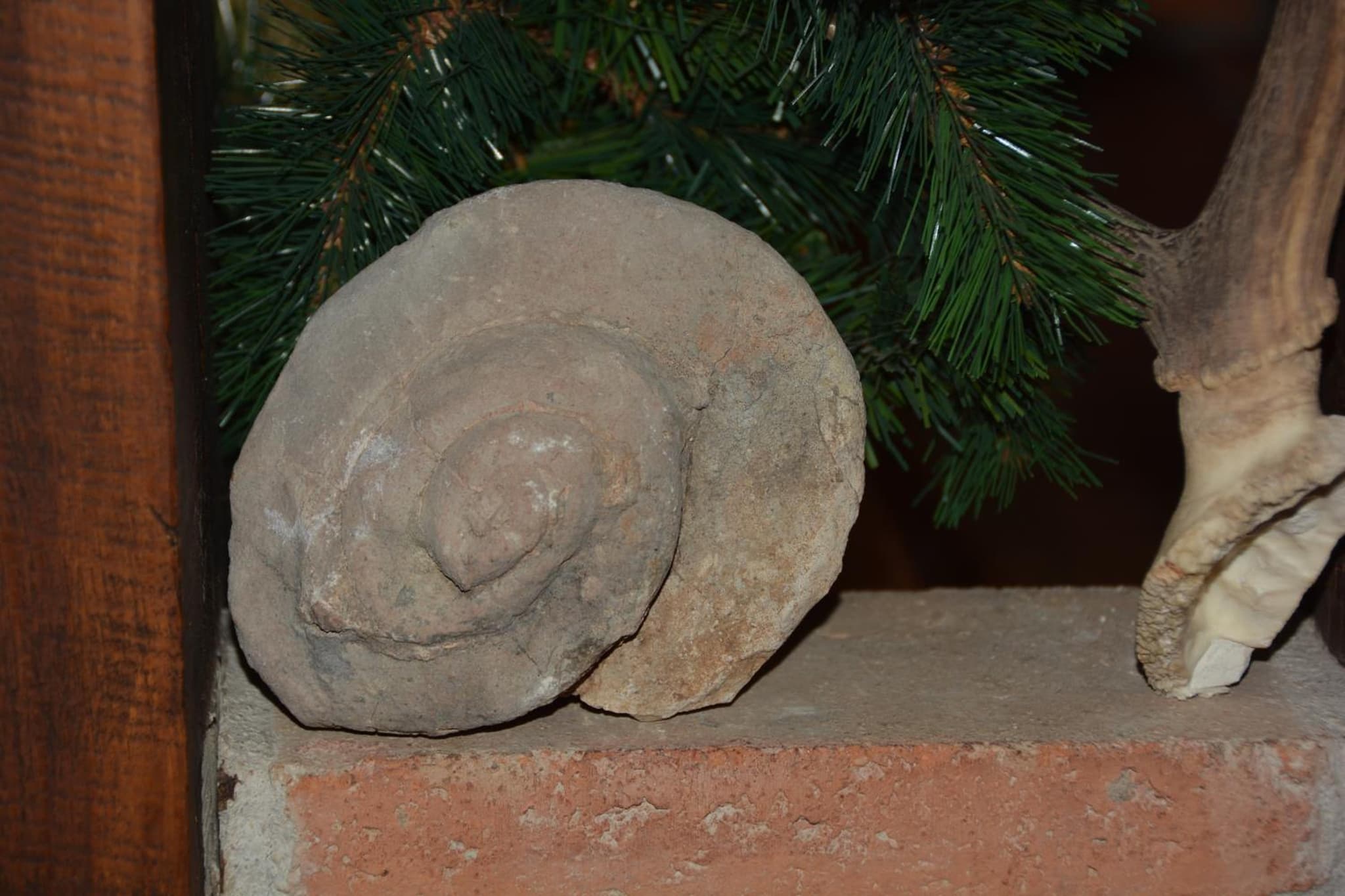 La Orospeda photo 8