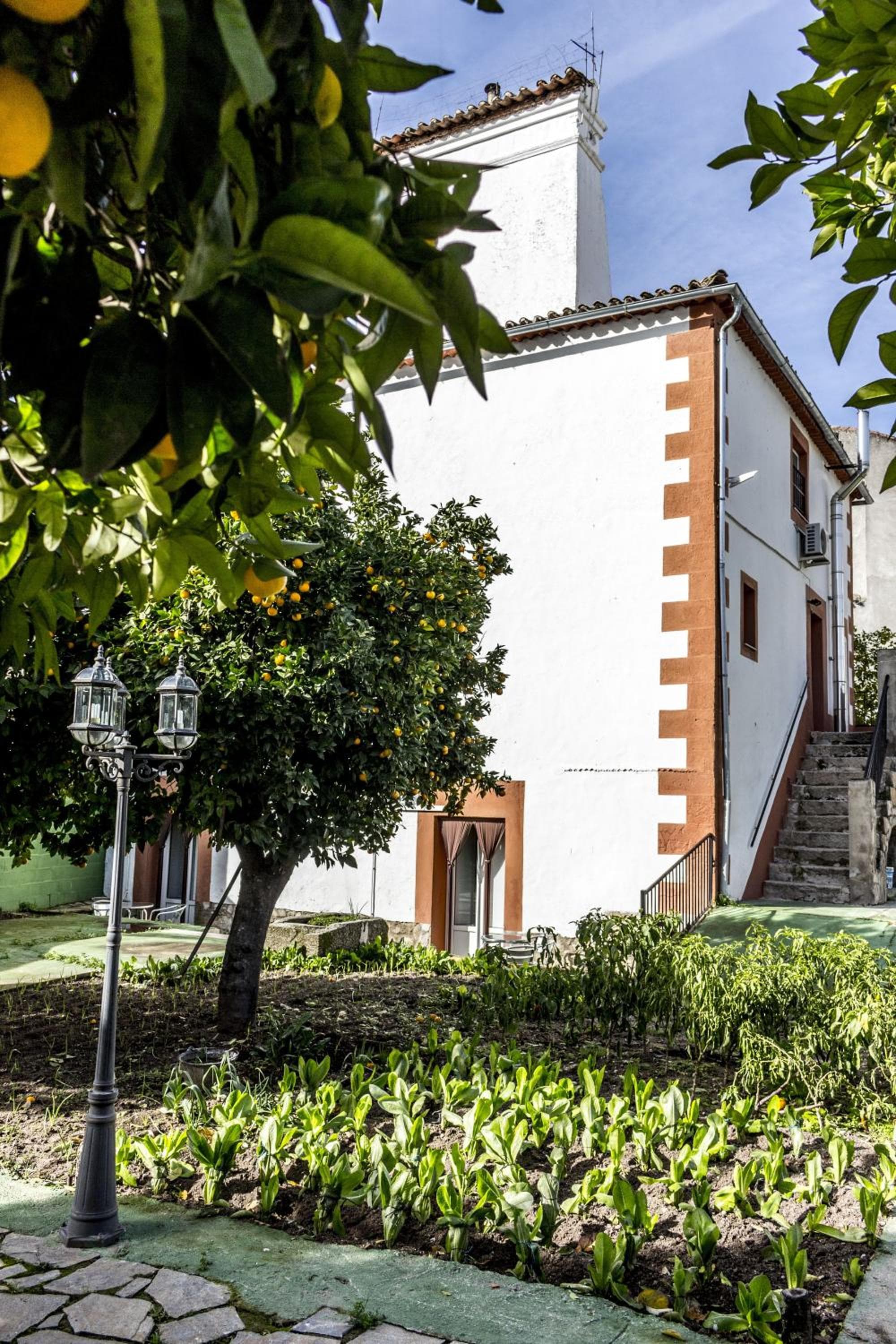 Hostal San Miguel photo 8