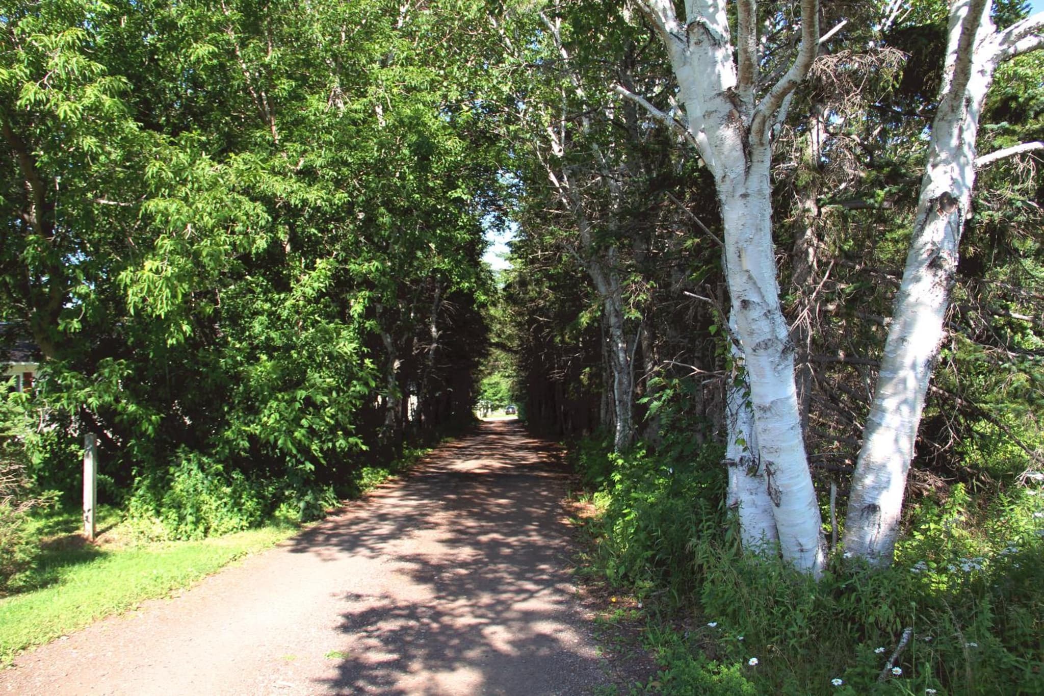 Hidden Acres Cottages photo 9