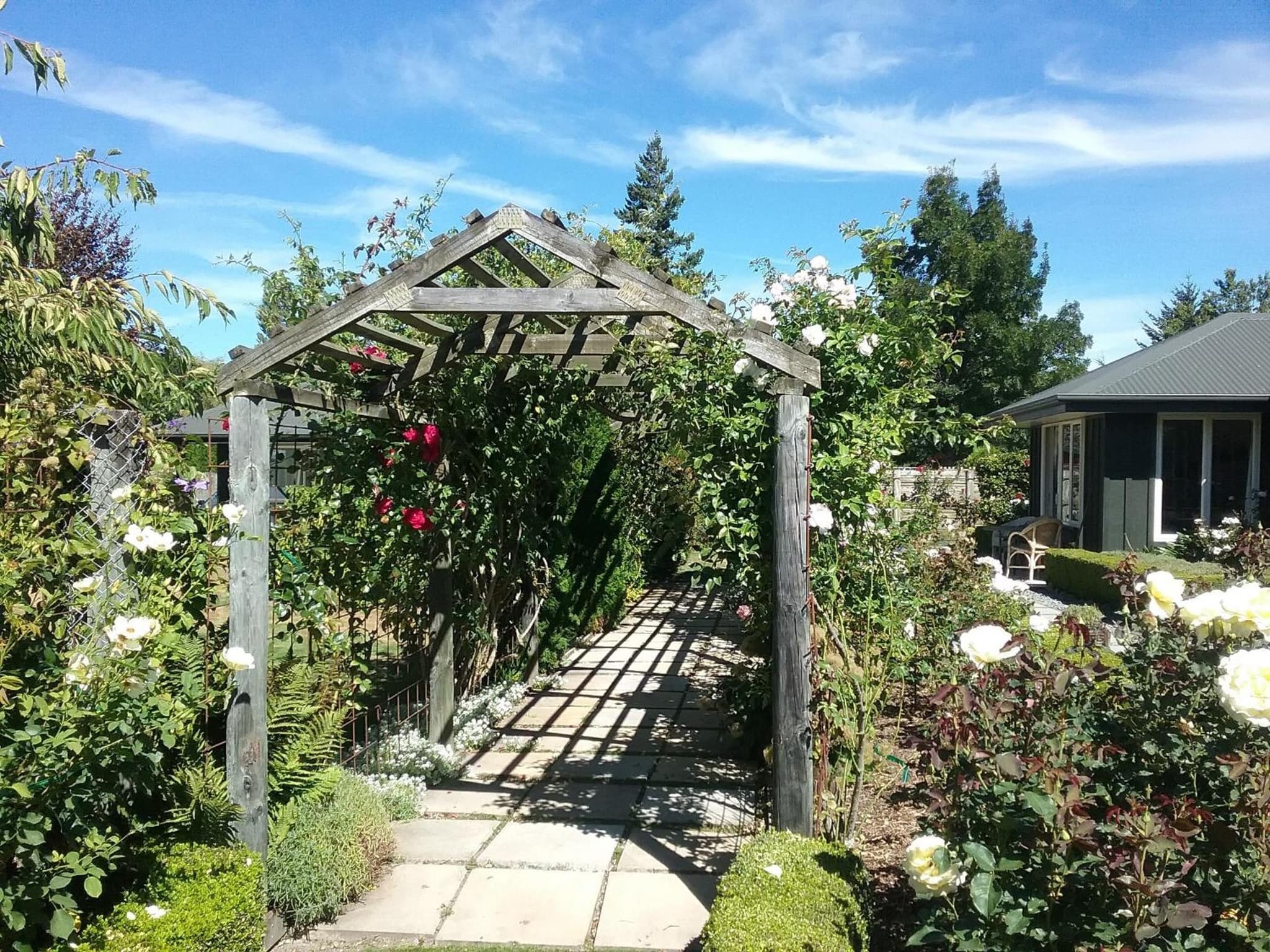 Marchmont Gardens photo 9