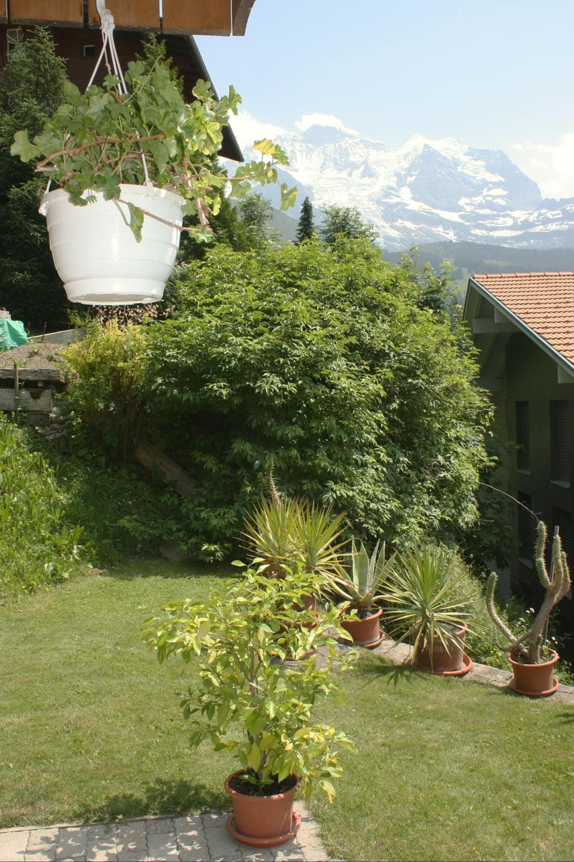 Chalet Protea photo 6