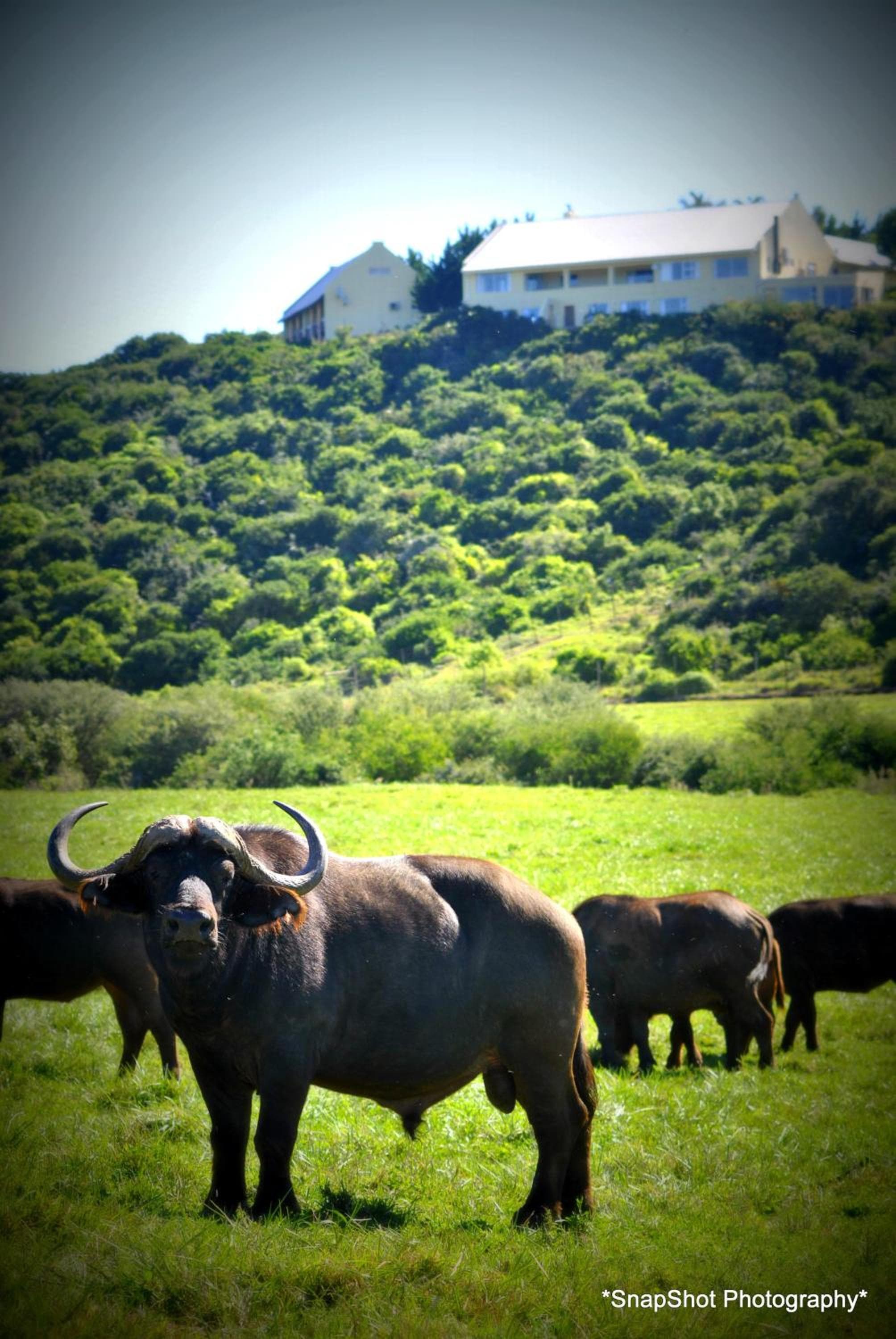Kududu Guest House photo 4