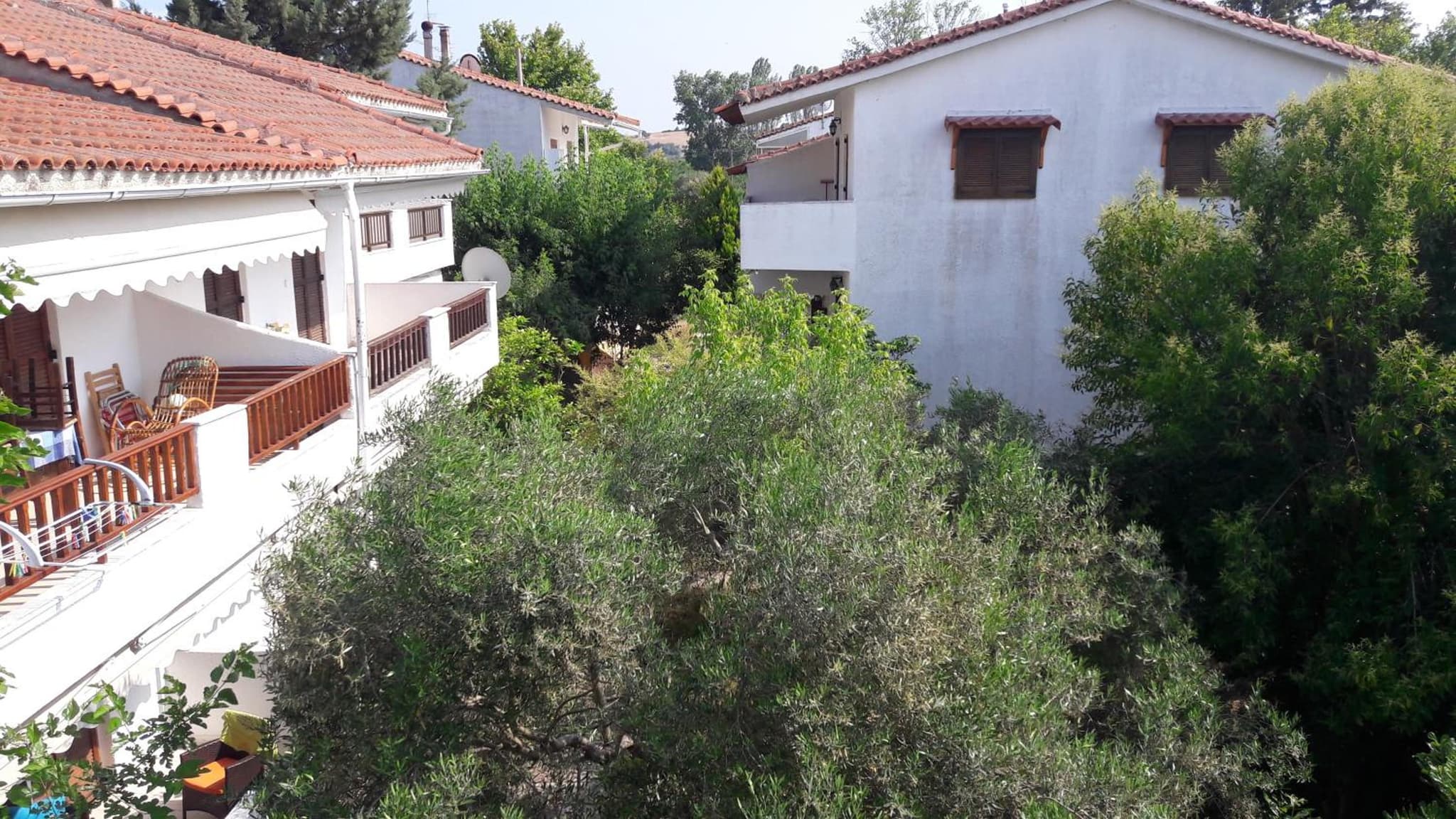 Alexandra Apartments photo 6