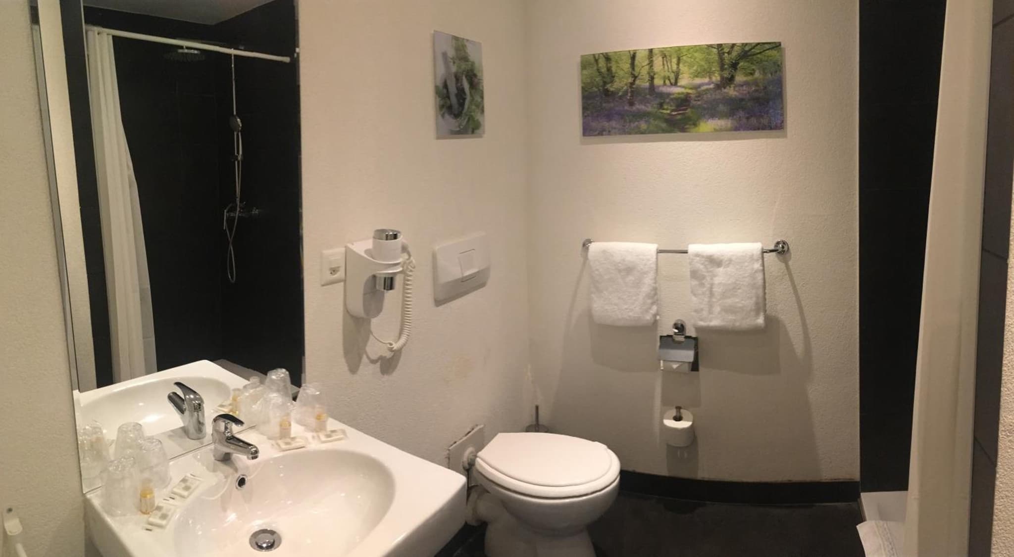 Hotel Parc & Lac photo 4