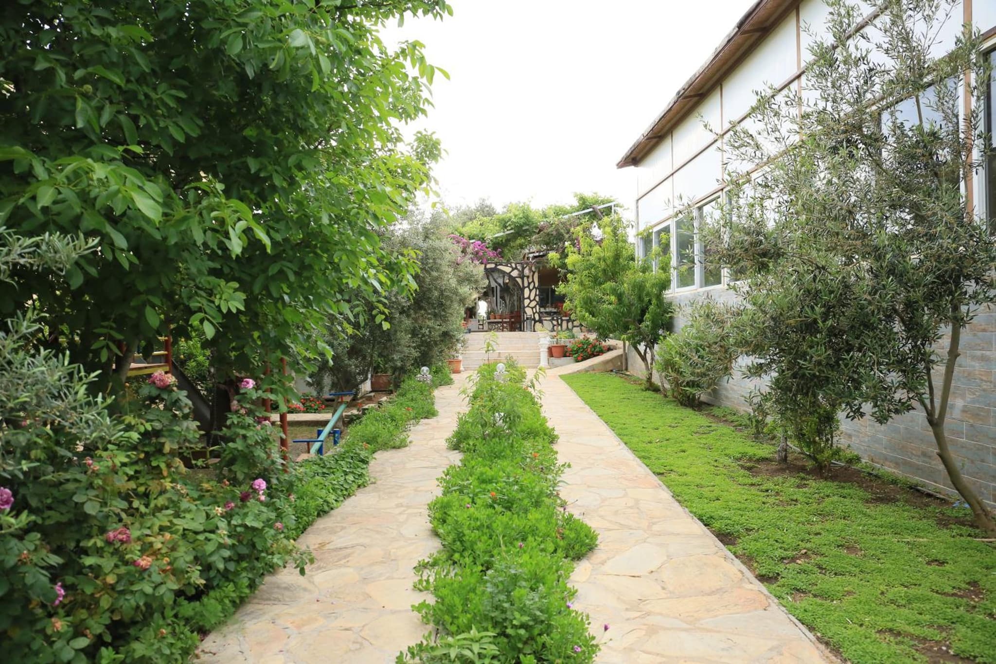 Patara Evleri photo 7