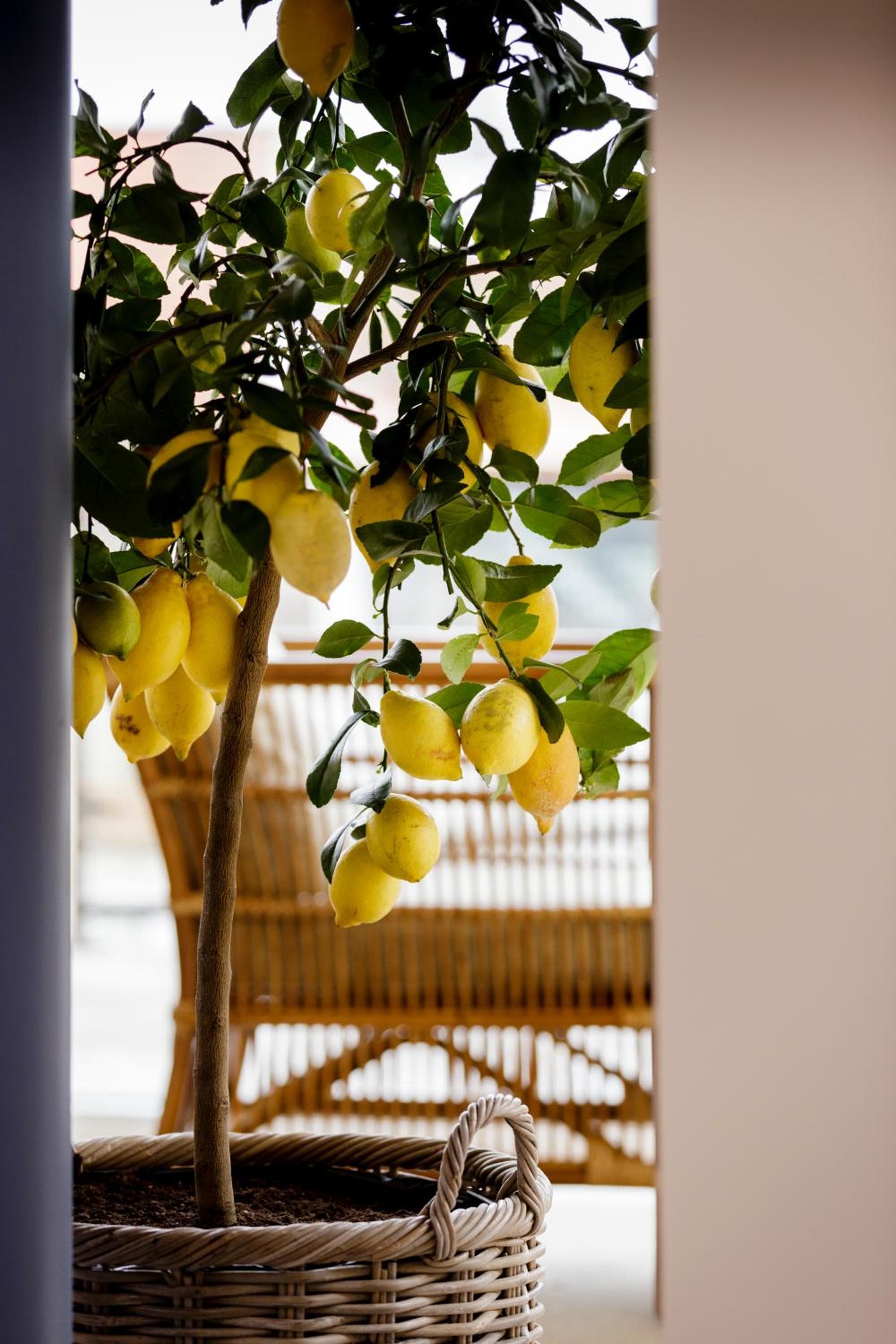Hotel Bretagne photo 4