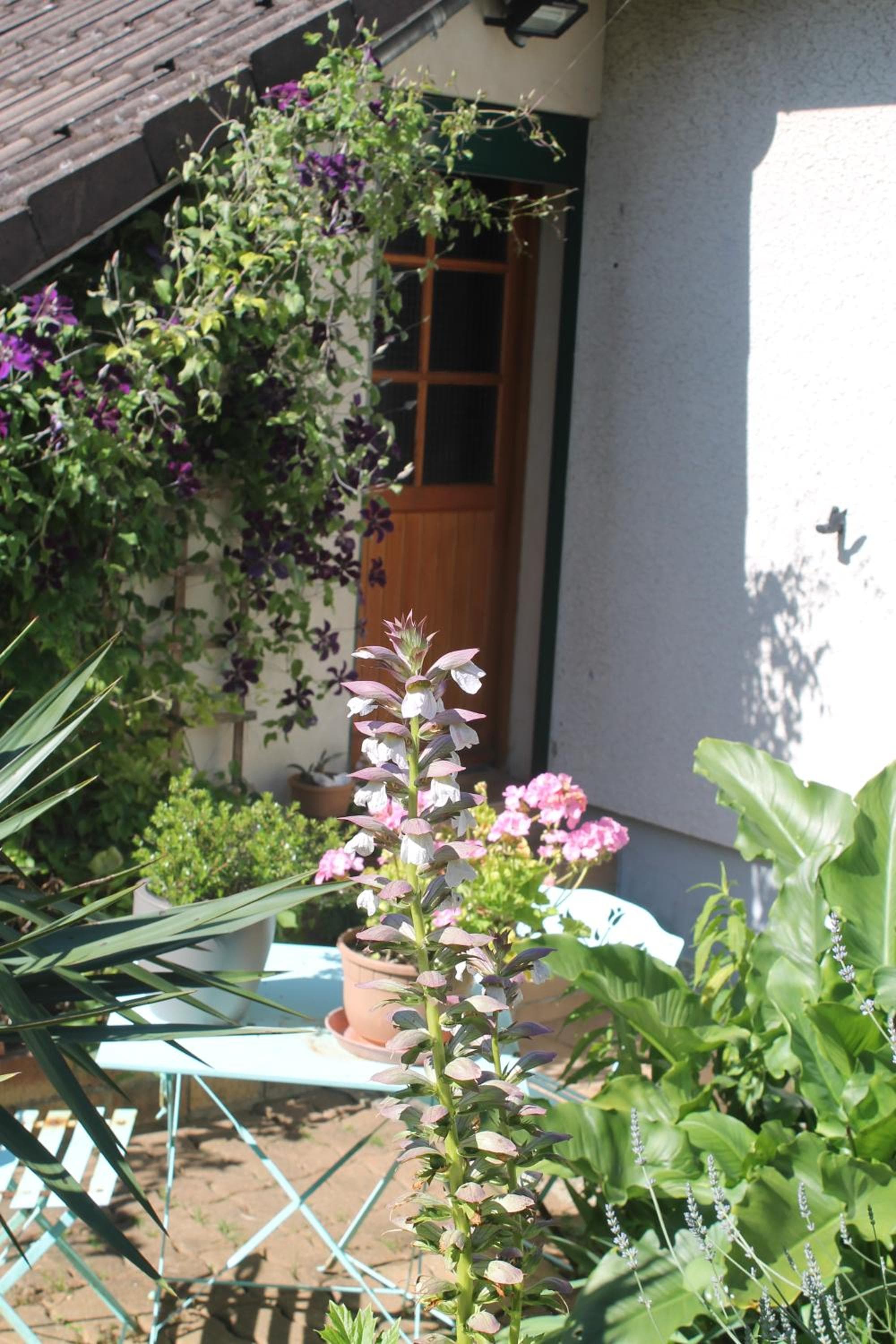 Chambre d'Hôtes "Orchidees" photo 9