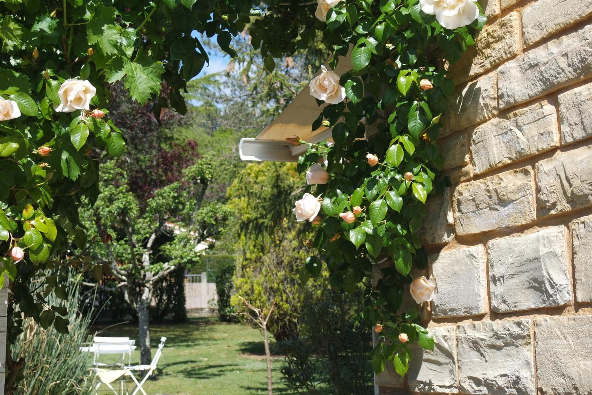 Le Balcon des Jasses photo 3
