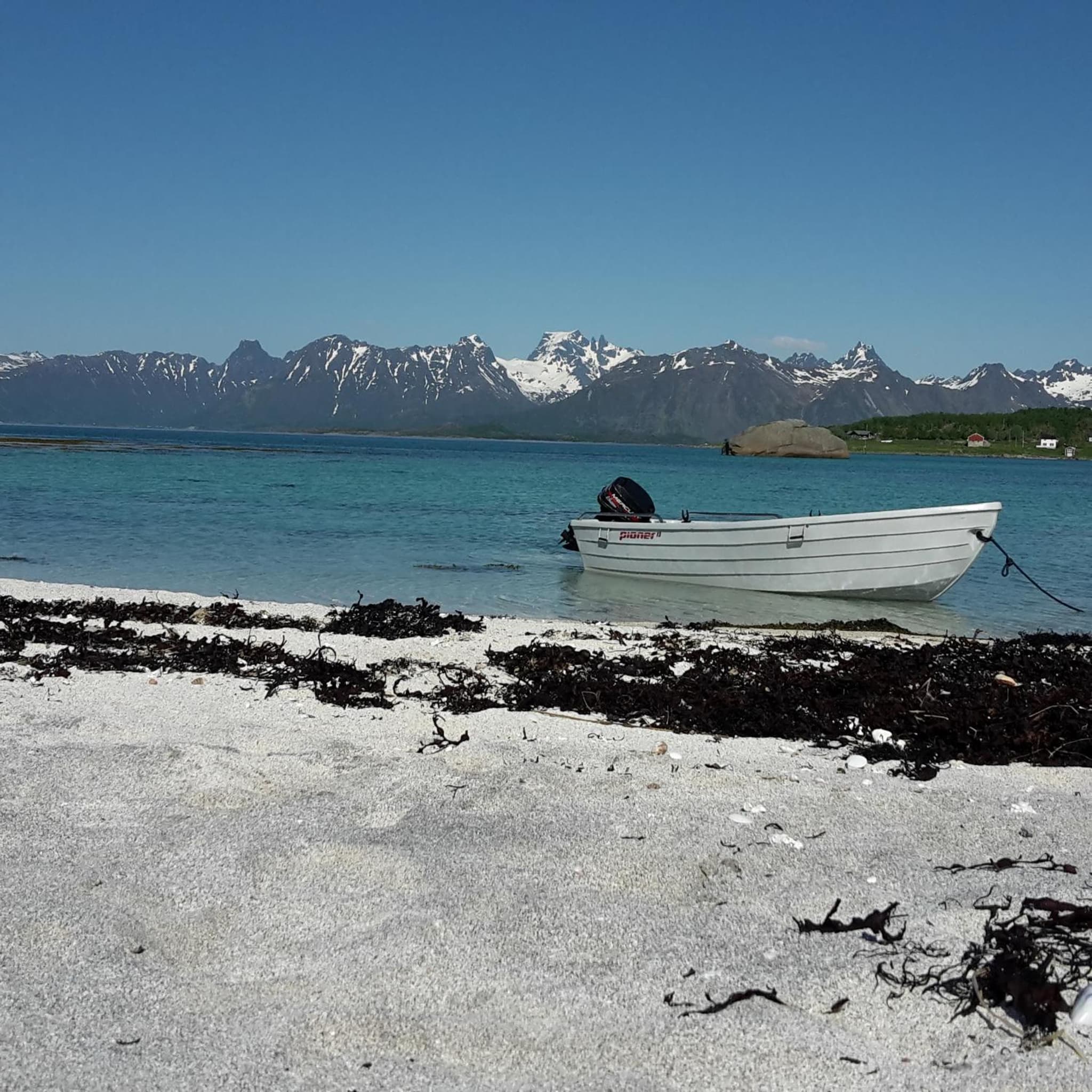 Prima Lofoten photo 3