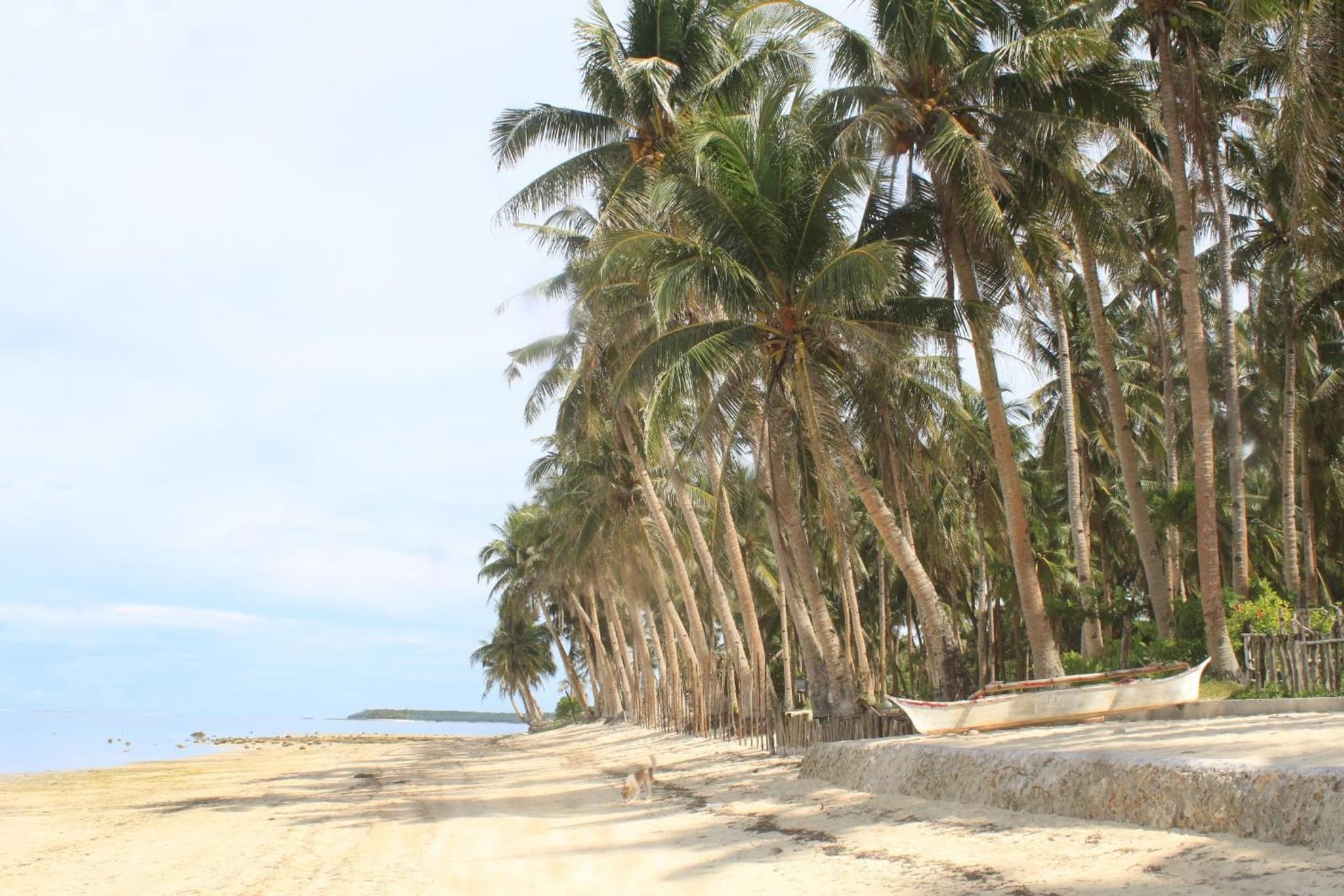YAMA APARTMENTS - Private Beachfront photo 9