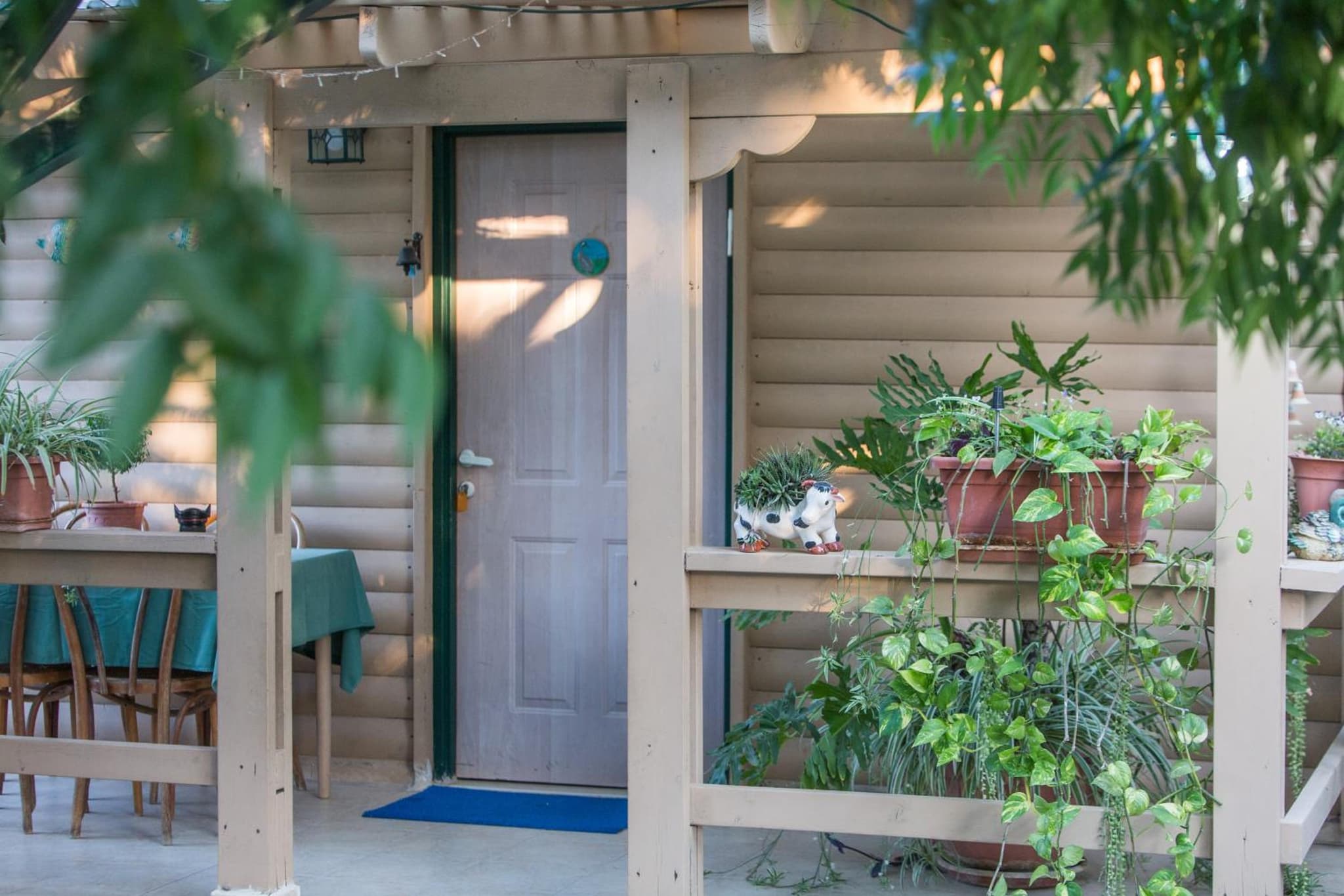 Leyad Hashmura Lodging photo 6