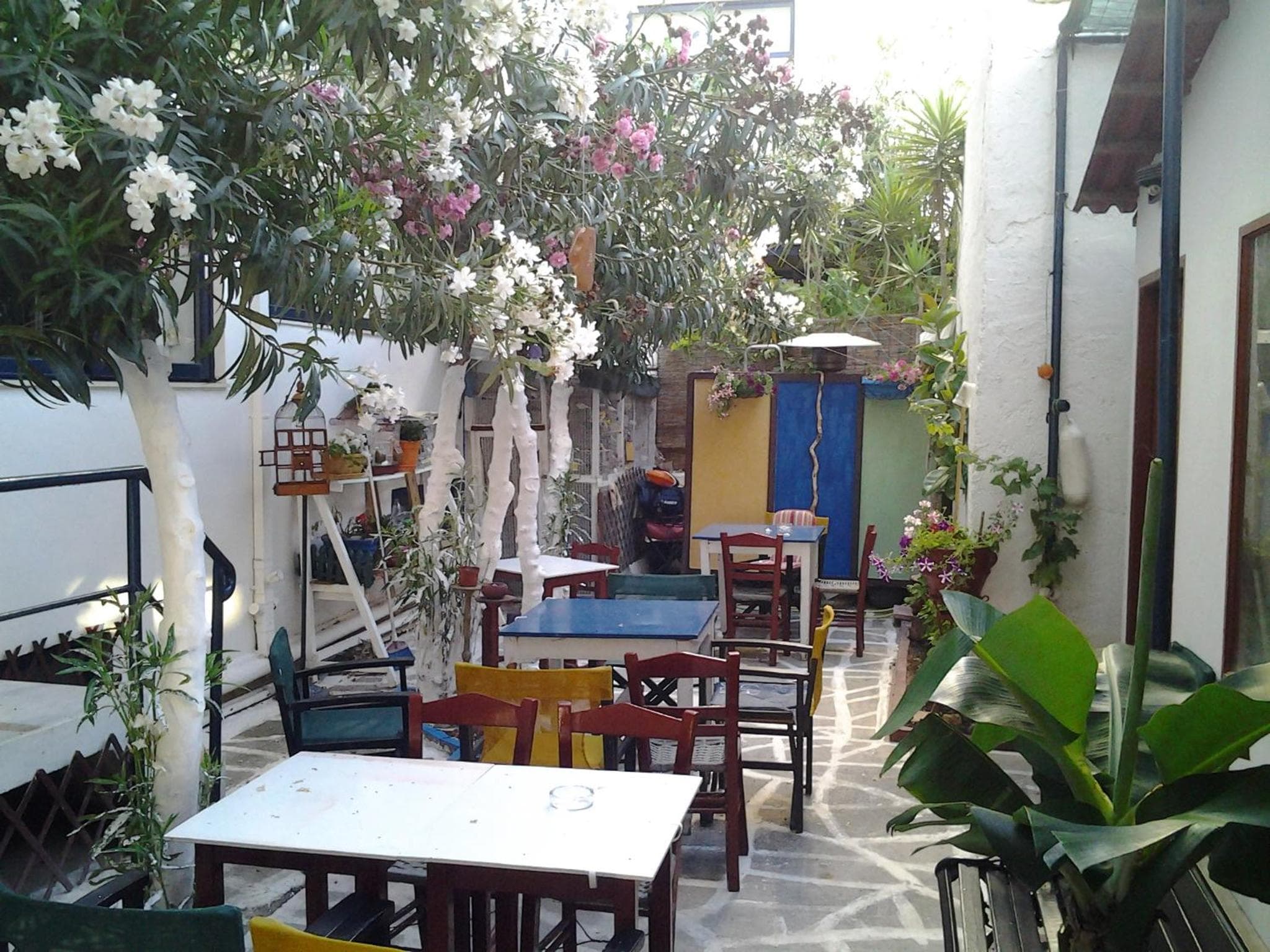 Danaos Hotel photo 4