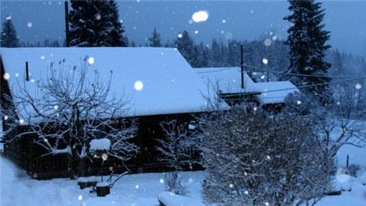 Nakiska Bear Ranch photo 4