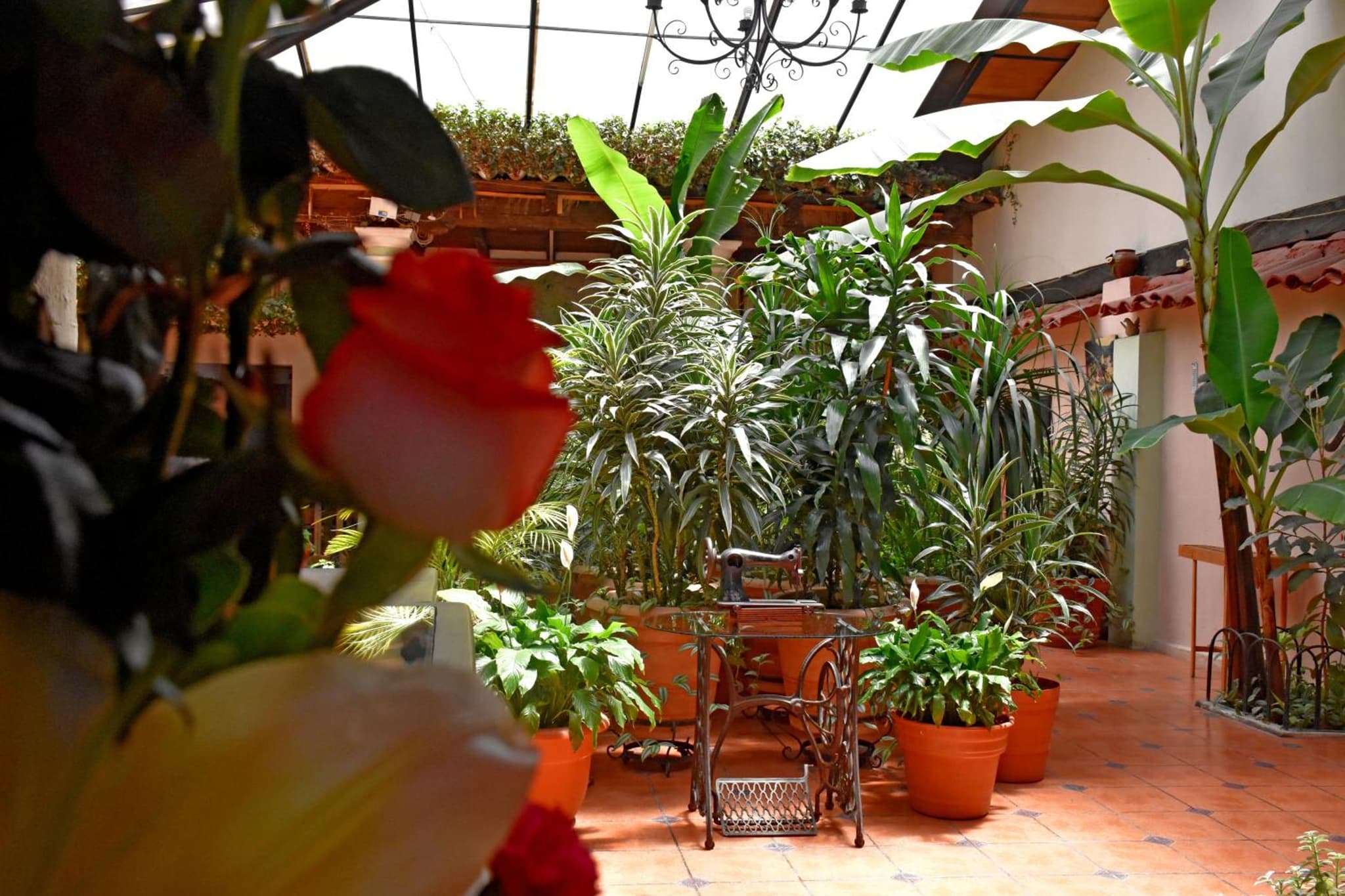 Hotel San Luis photo 8