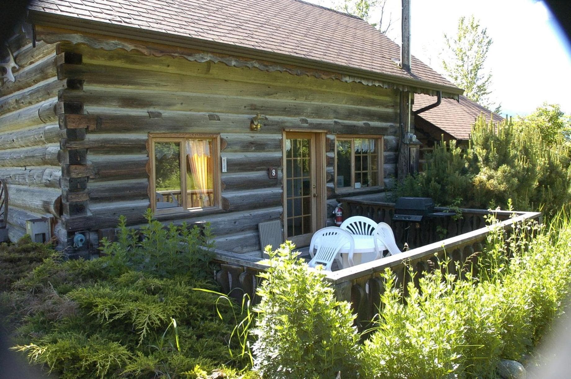 Nakiska Bear Ranch photo 3