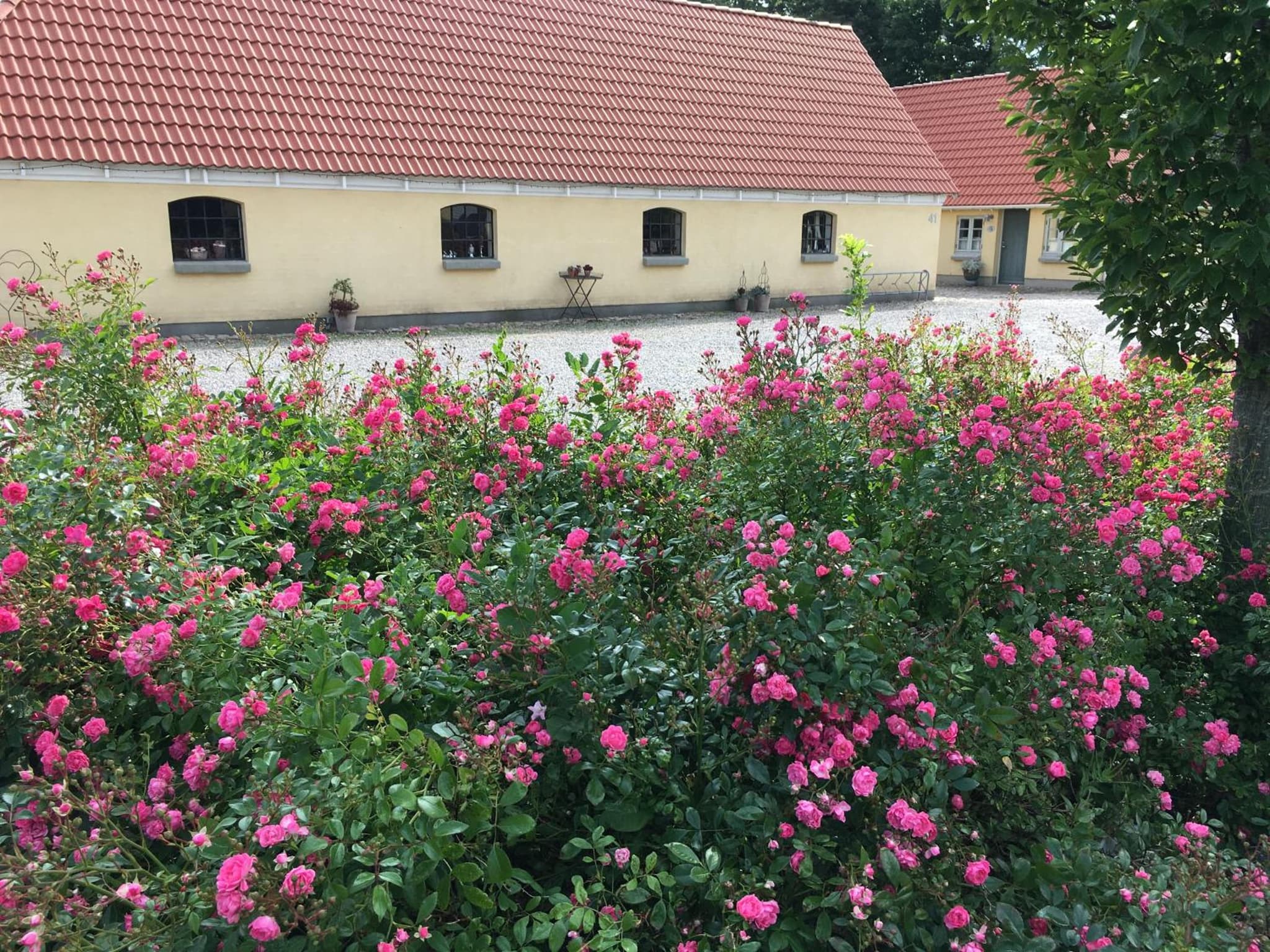 Birkende Bed and Breakfast photo 5