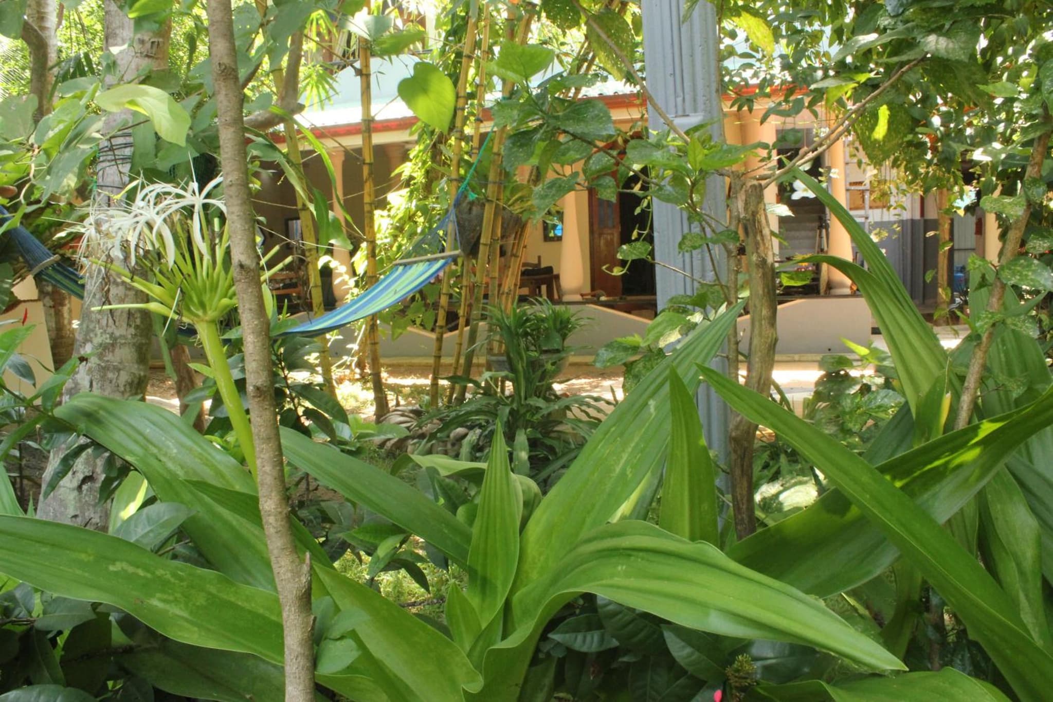 Dionis Villa photo 2