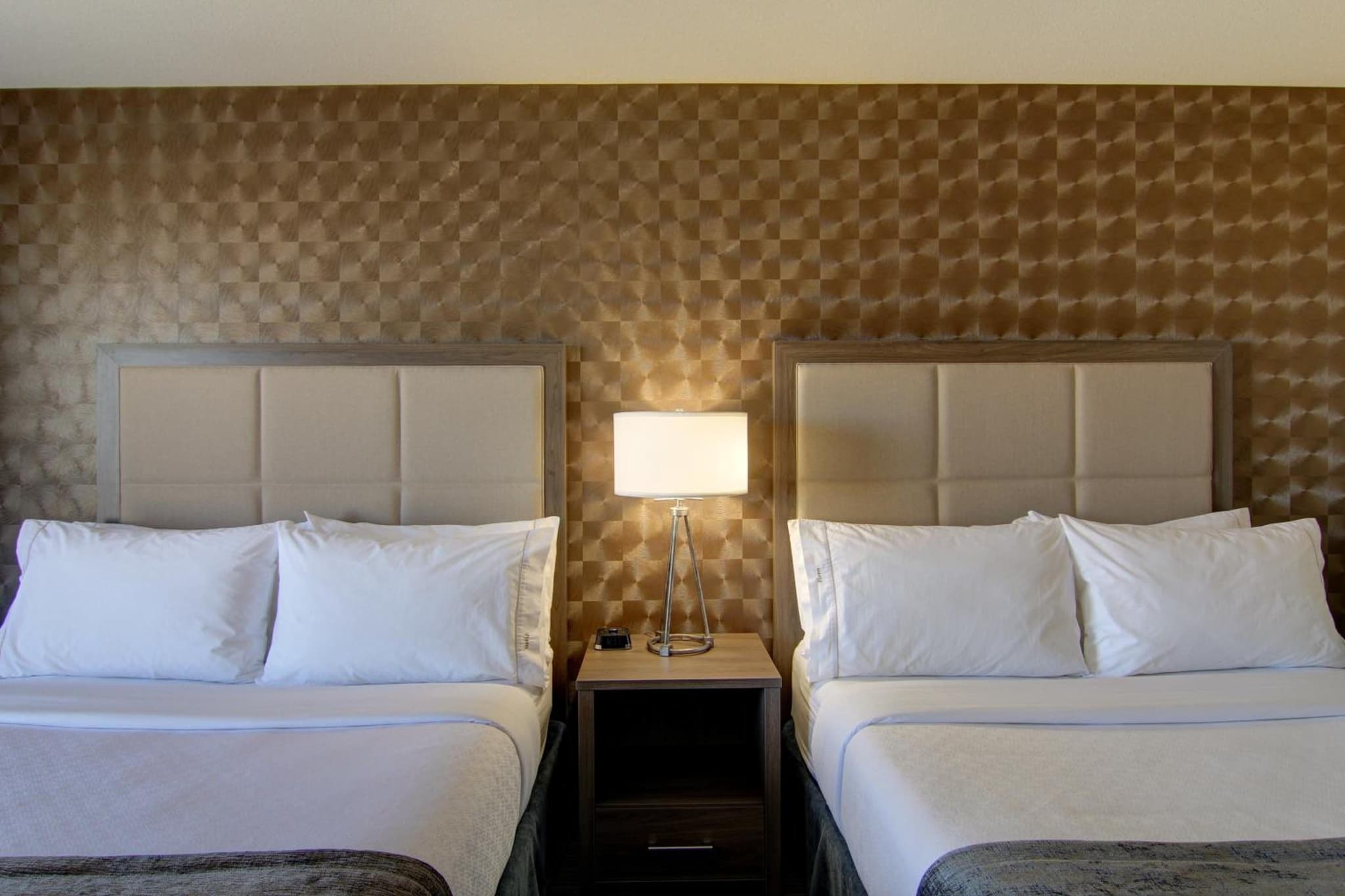 Canalta Hotel Kindersley photo 9