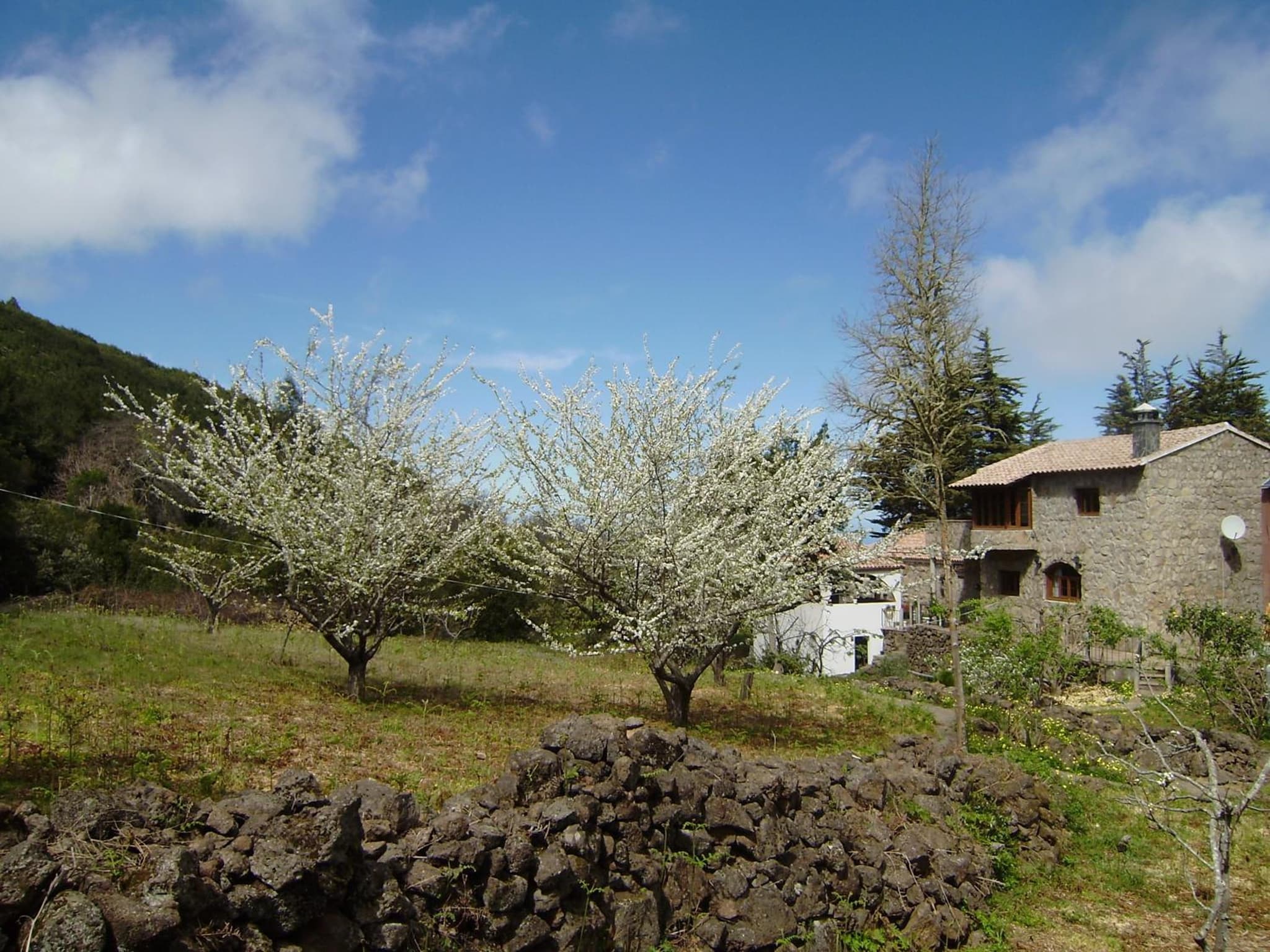 Casa Rural La Gustoza photo 7