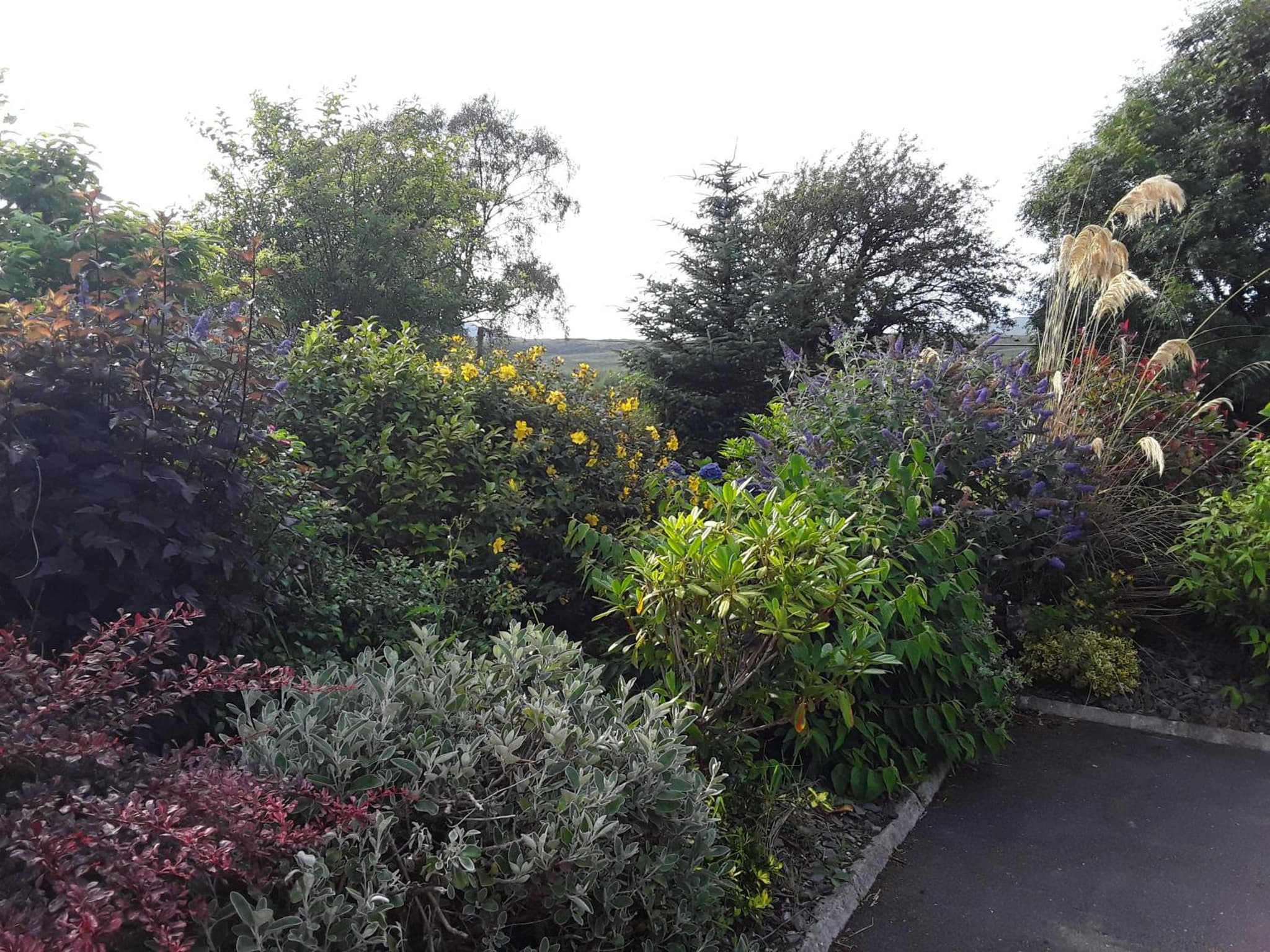 Ard na Greine Bed & Breakfast Ballylickey photo 6