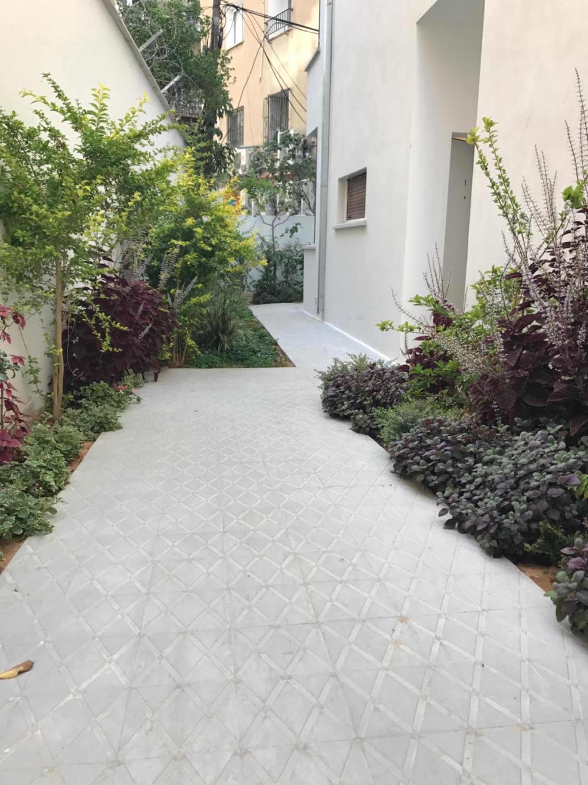 Reines5 TLV photo 3