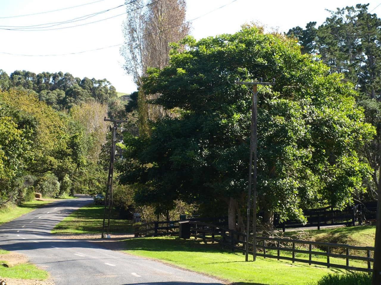 Jake's Place Oneroa Waiheke photo 8