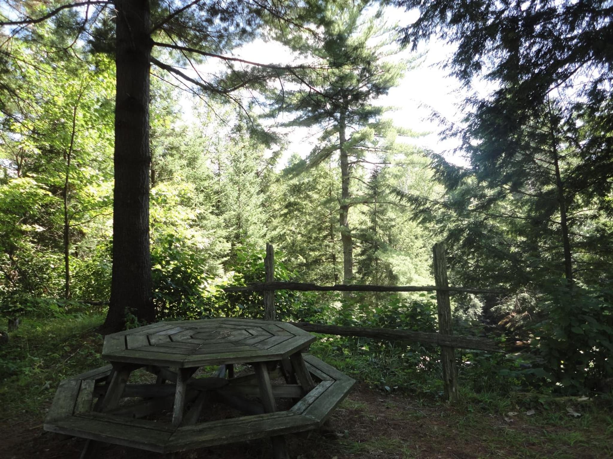 Dwight Riverside Inn photo 7