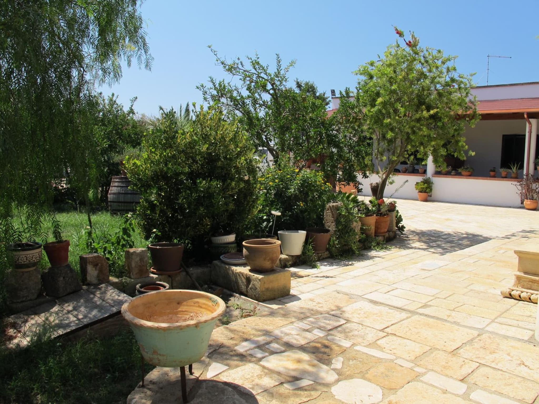 Agriturismo Casa Colonica Liliane photo 6