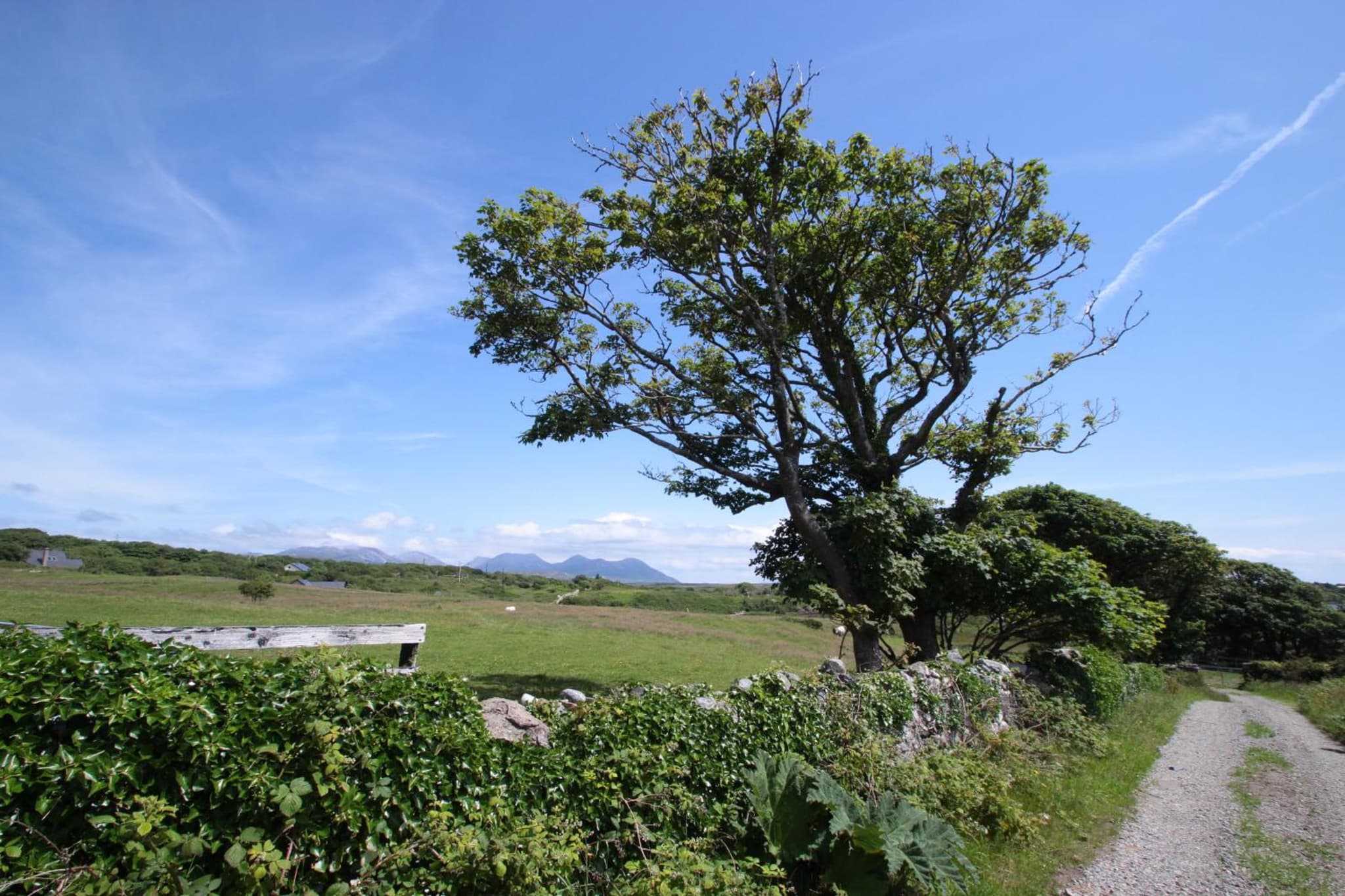 Island View Townhouses photo 7