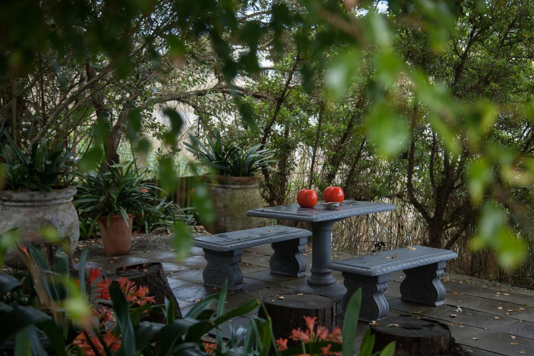 Serendipity Country House & Restaurant photo 6