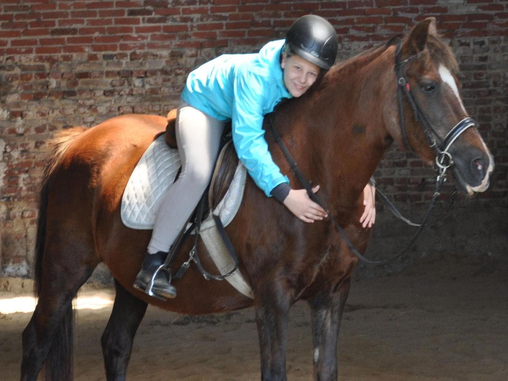 Ferienzimmervermietung Reitferien photo 6