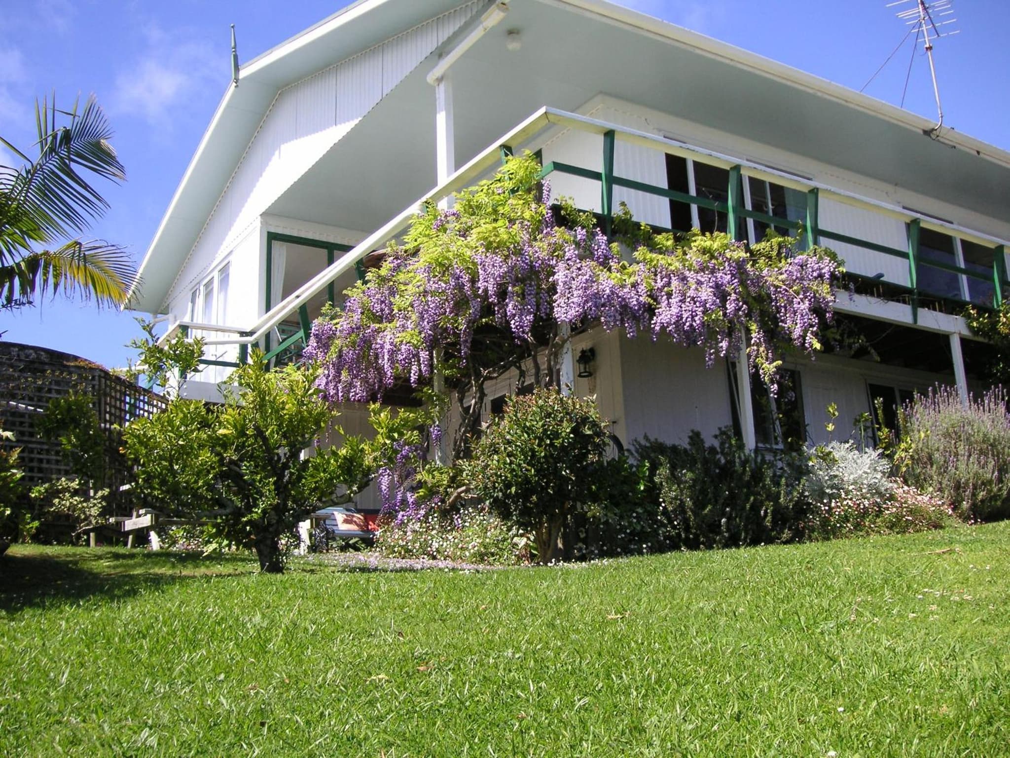 Aimeo Cottage photo 6