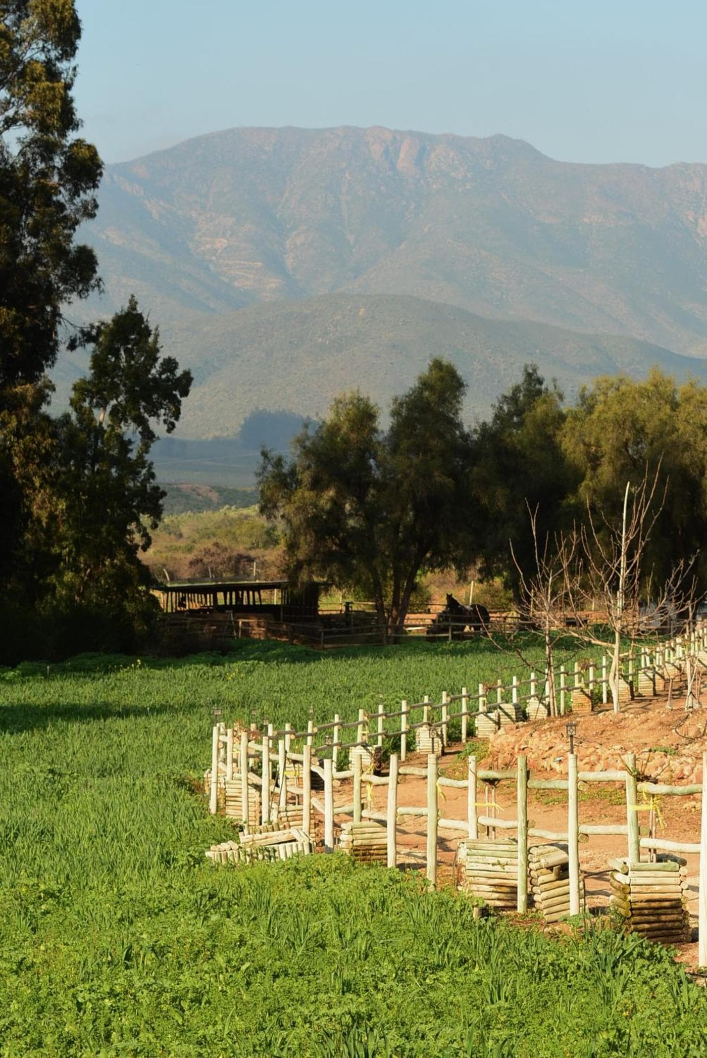 Hacienda Santa Cristina photo 8