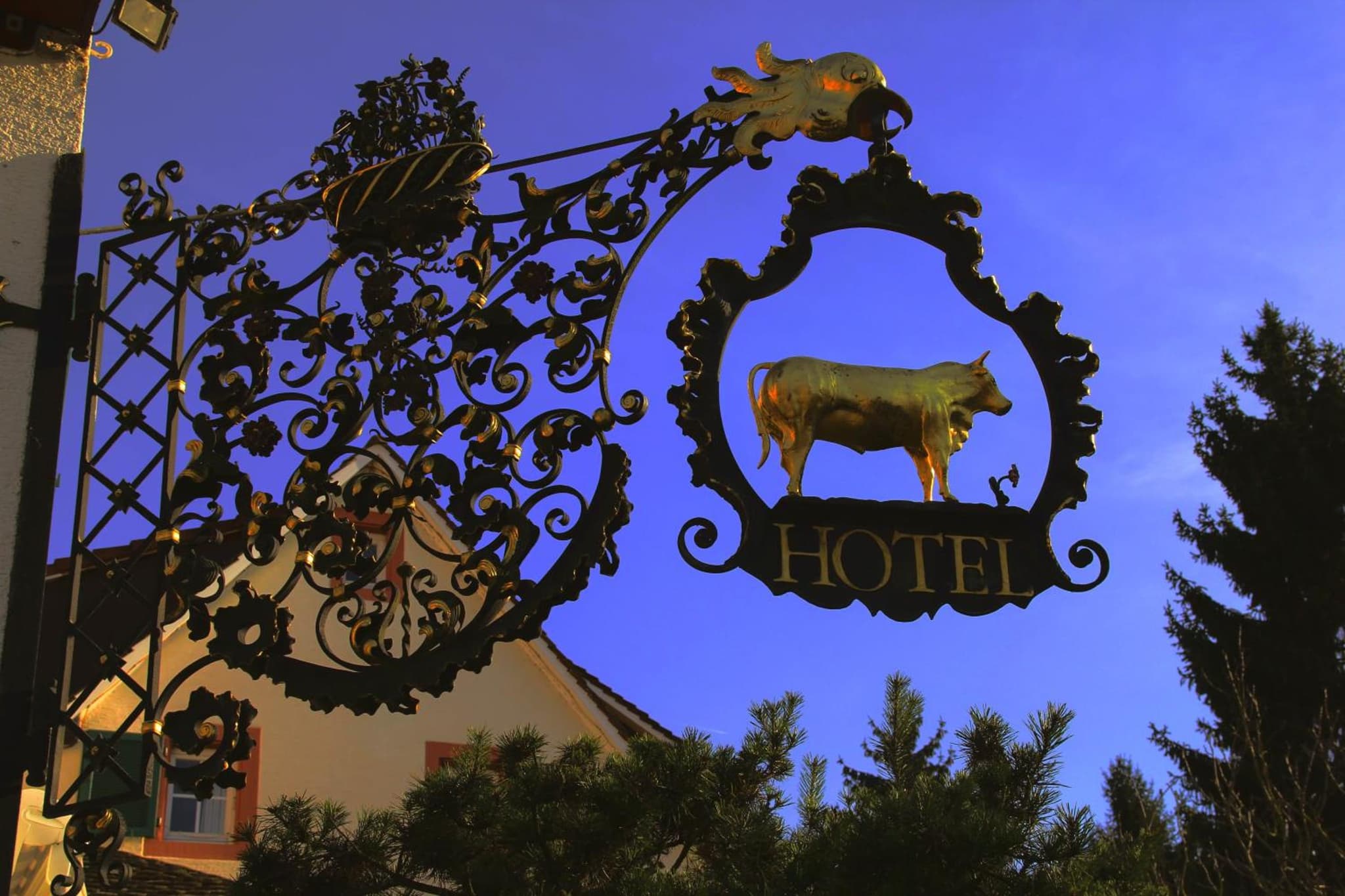 Ochsen Hotel & Restaurant Binzen / Basel photo 5