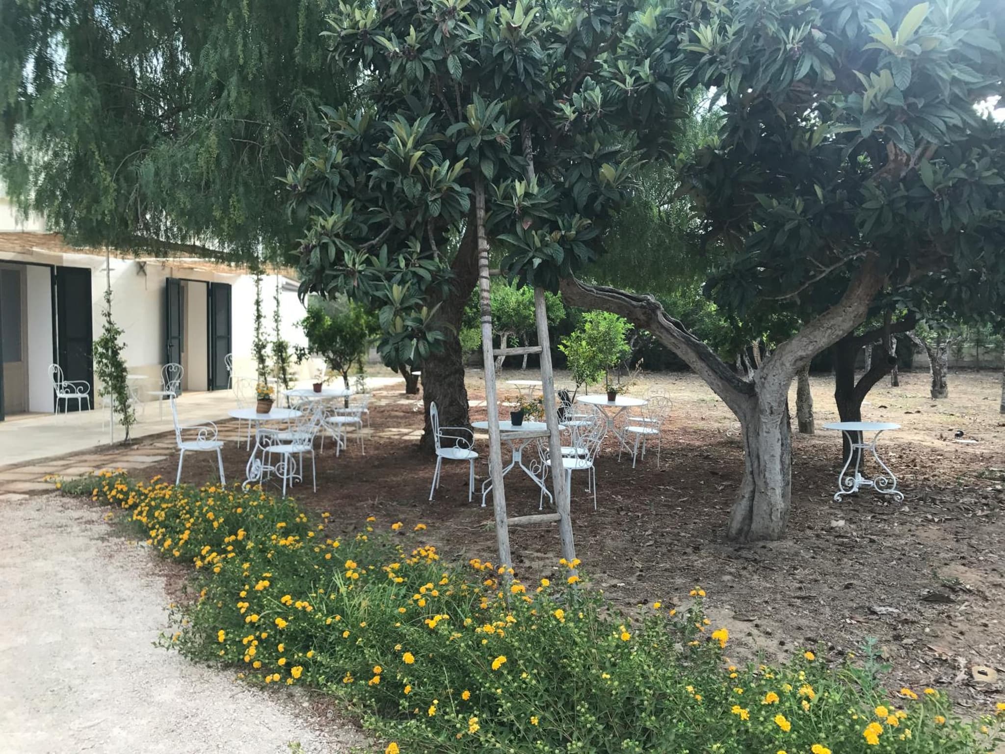 Tenuta Castelle photo 9