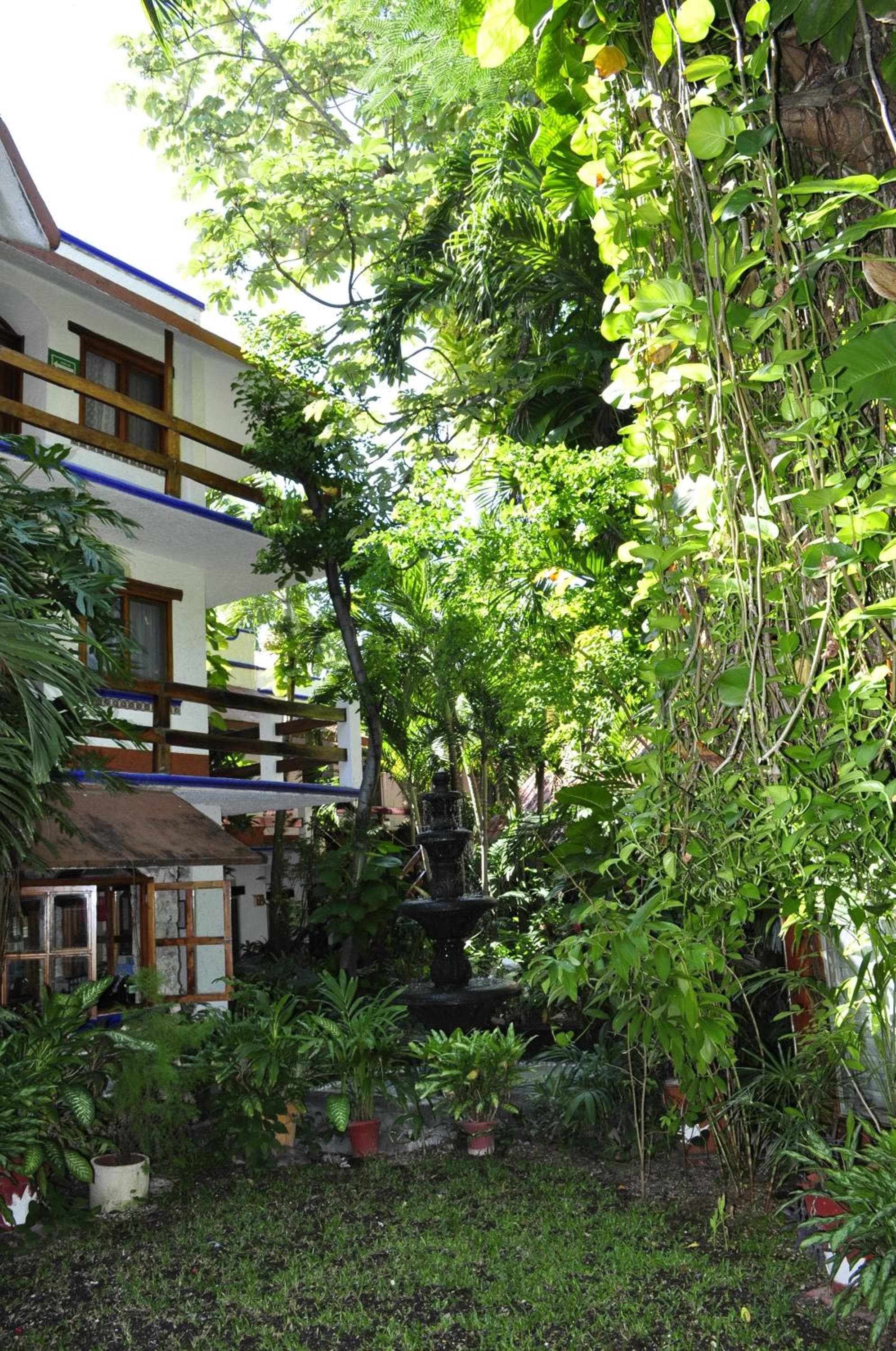 Eco-hotel El Rey del Caribe