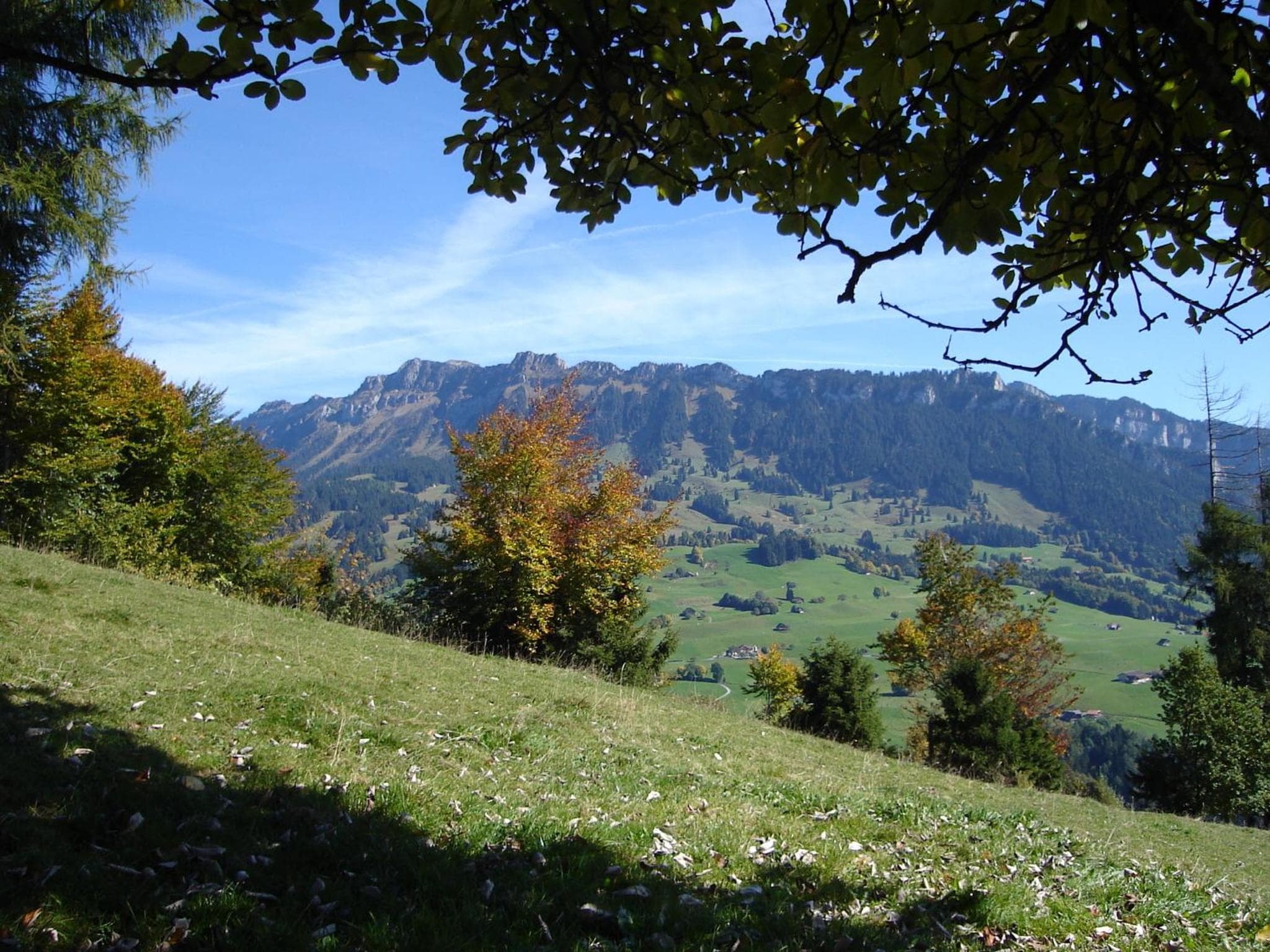 Chalet Sunneschyn photo 8