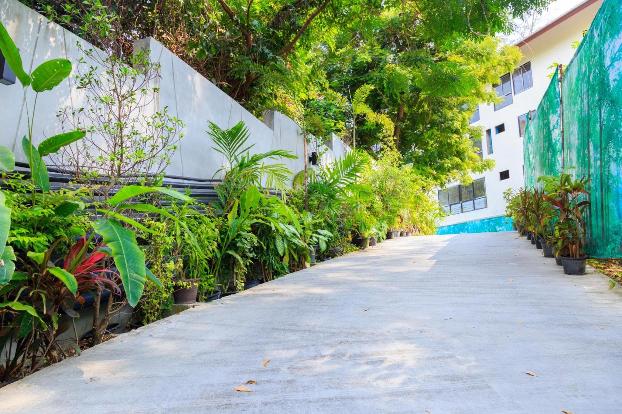 Avatara Resort photo 3