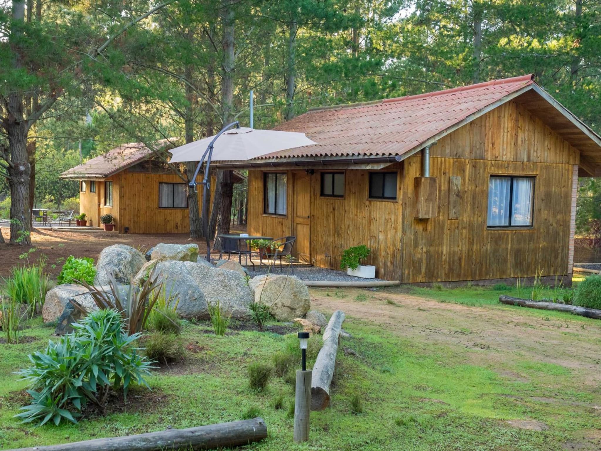 Eco Cabañas Algarrobo photo 7