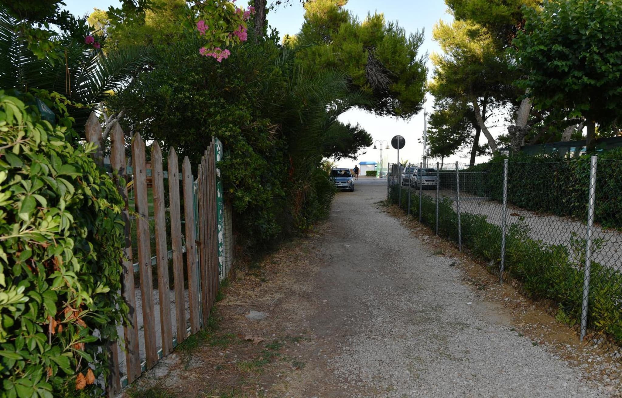 Residence Gambrinus photo 9