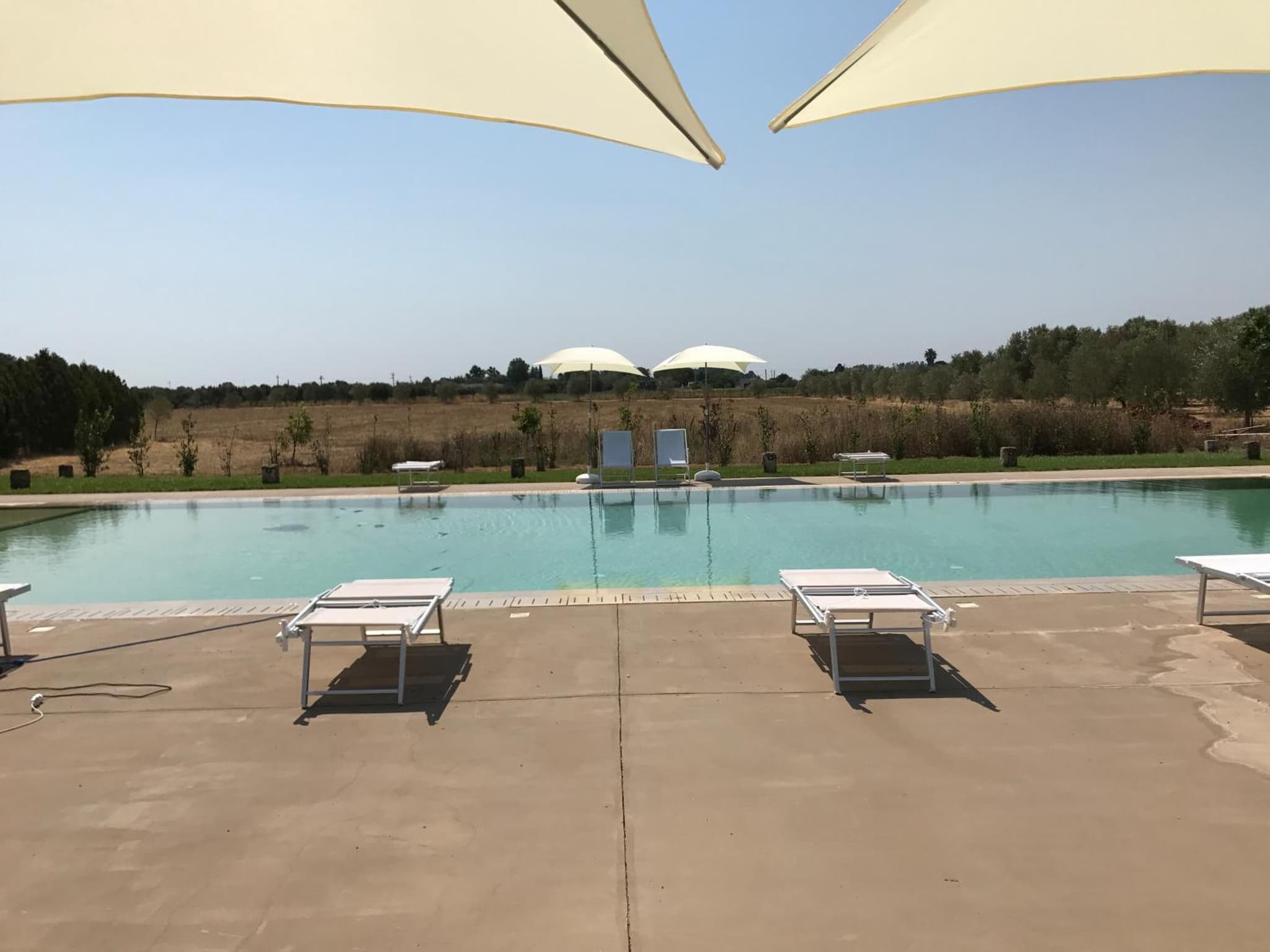 Tenuta Castelle photo 3