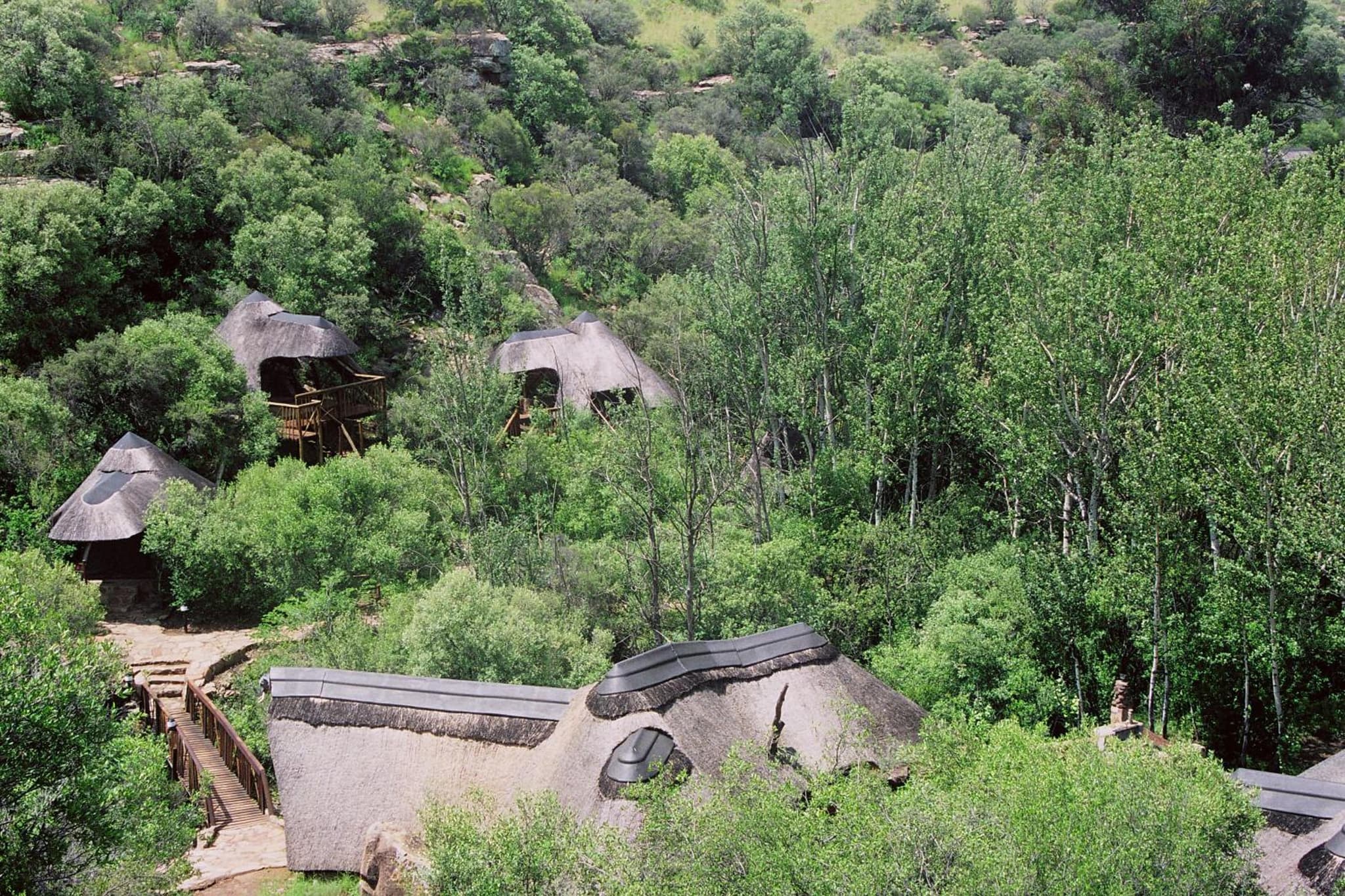 Letsatsi Game Lodge photo 9