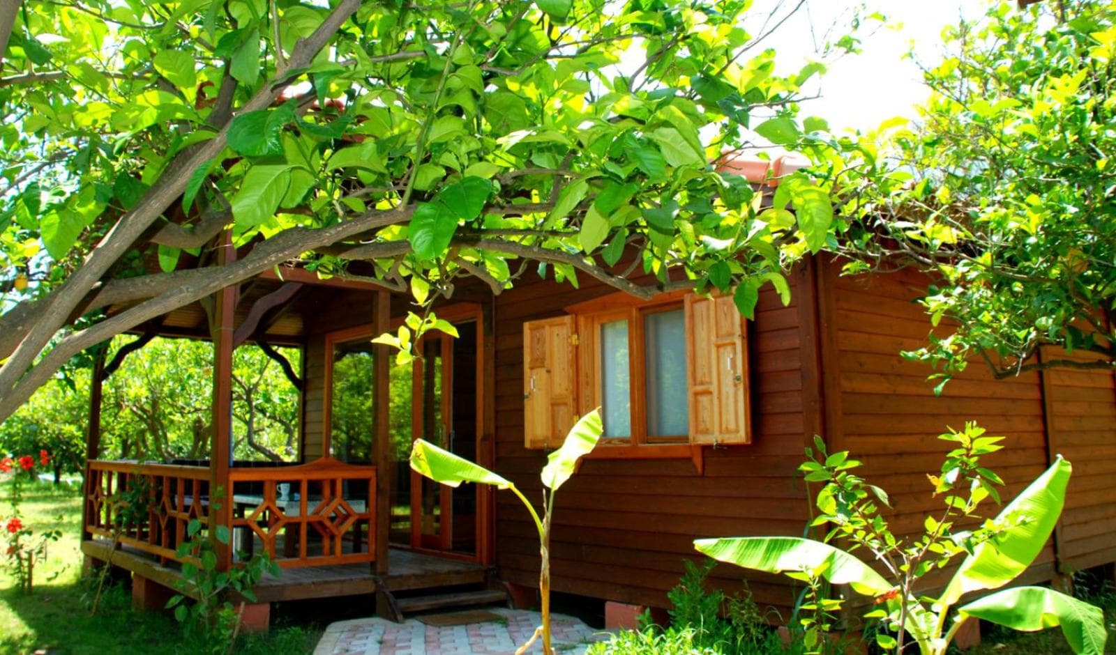 Baraka House photo 8