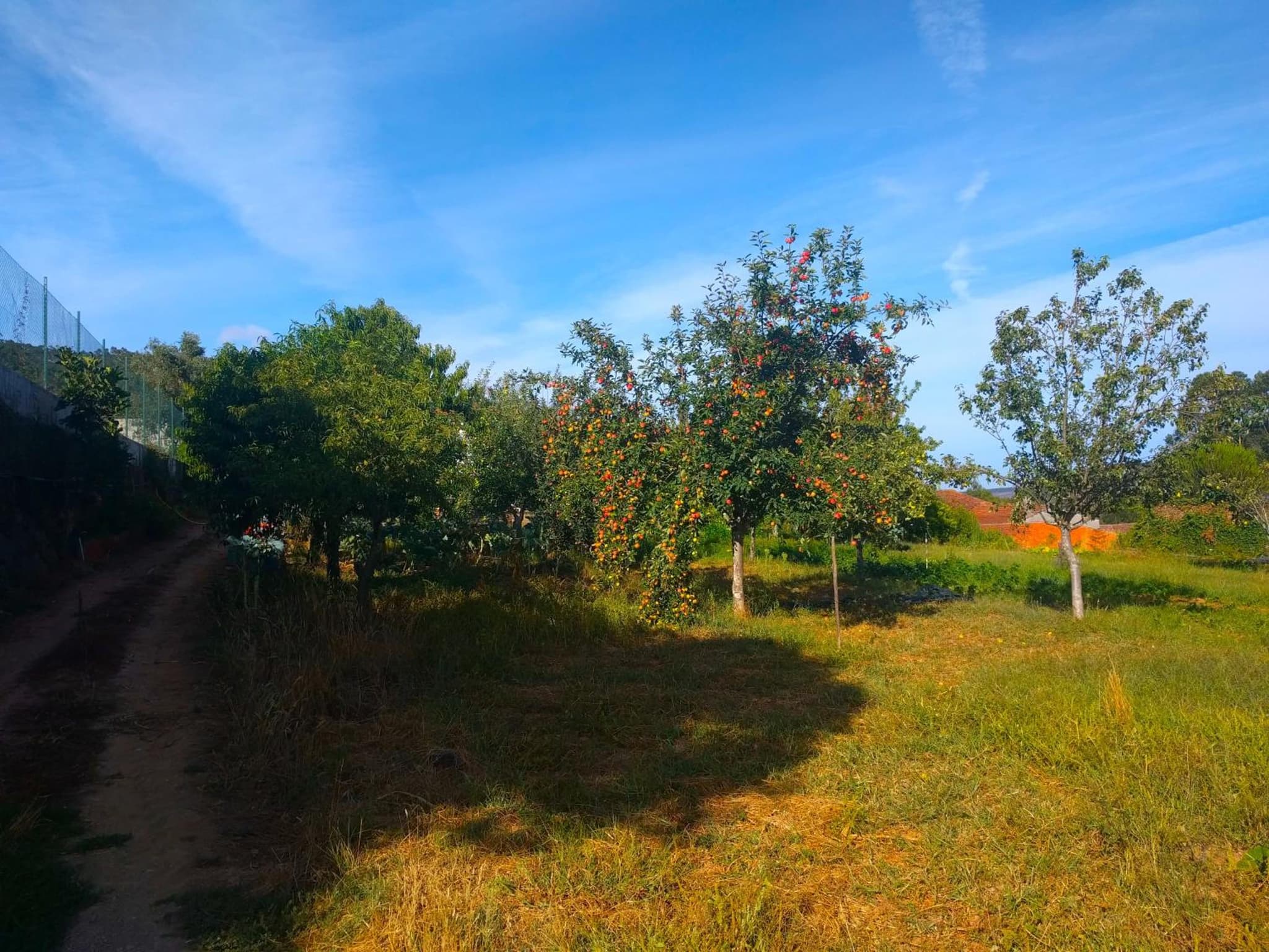 Porto Countryside House photo 3